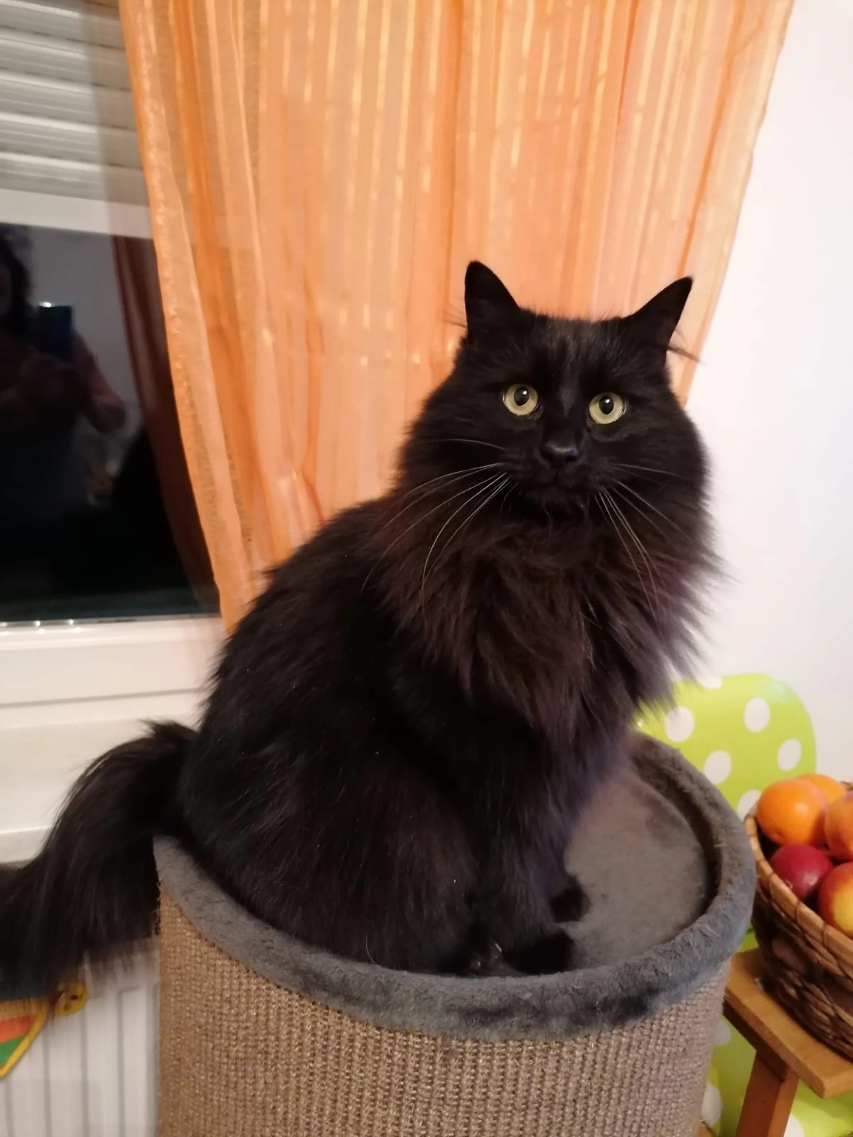 Quentin - Höhenstraße 40, Raaba-Grambach