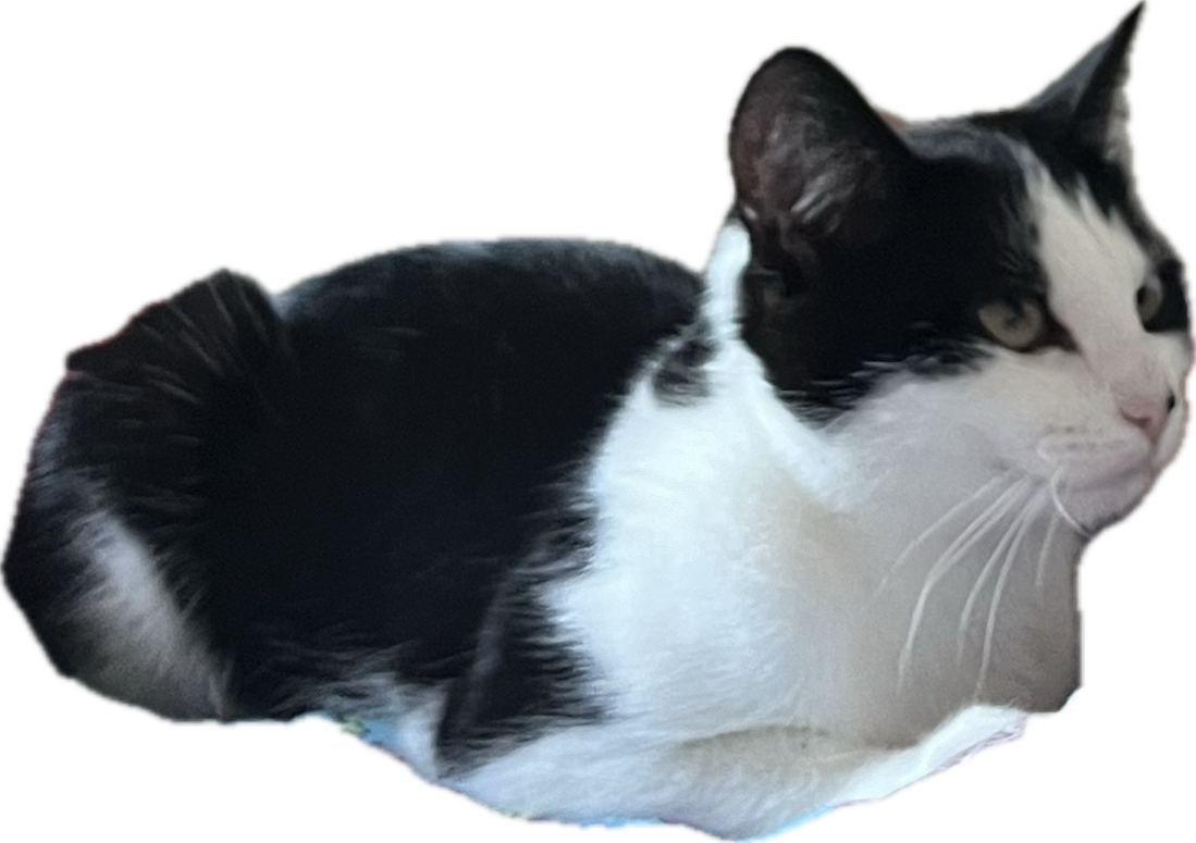 Luna - Whitchurch Drive, Telford