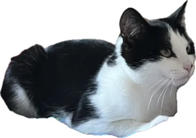 Luna - Whitchurch Drive, Telford