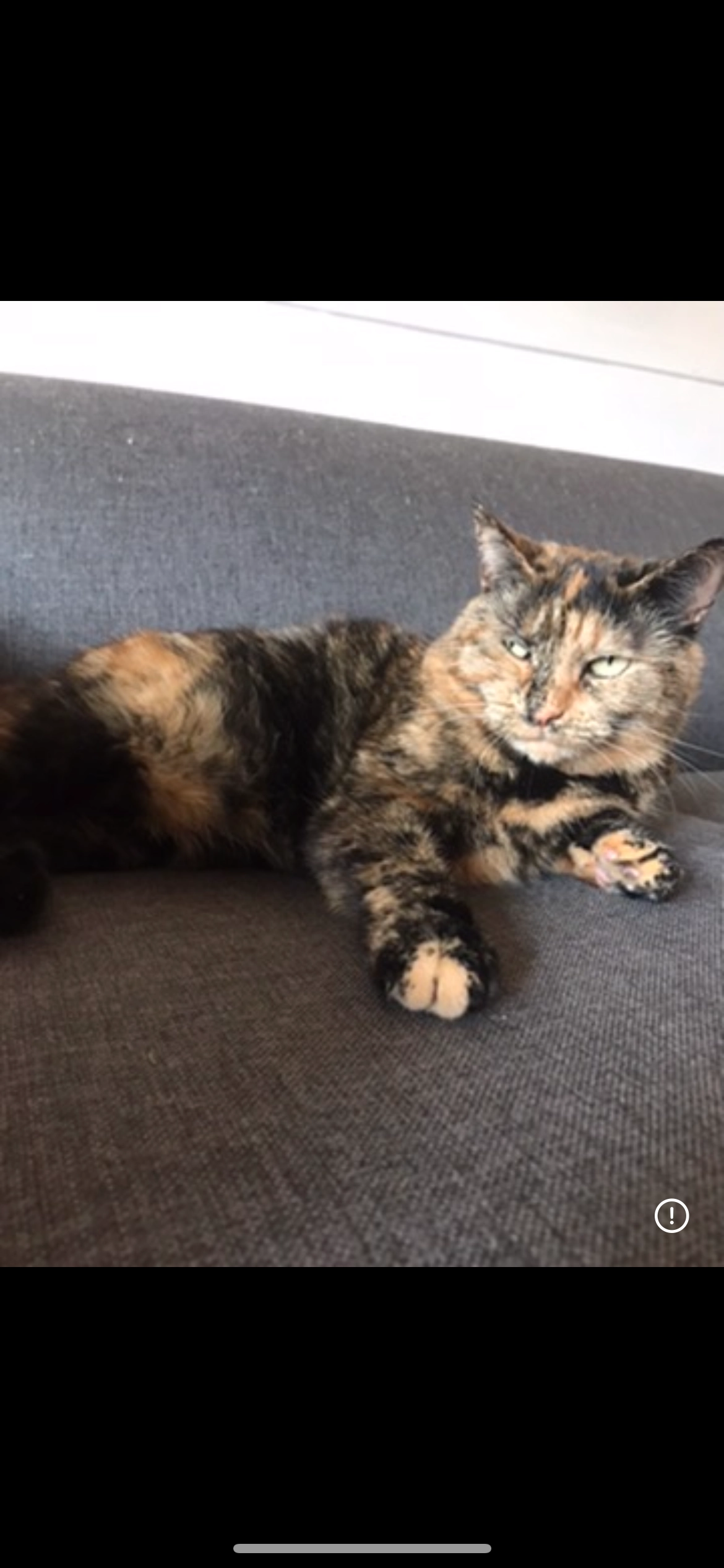 pumpkin  - The Causeway, Gloucester