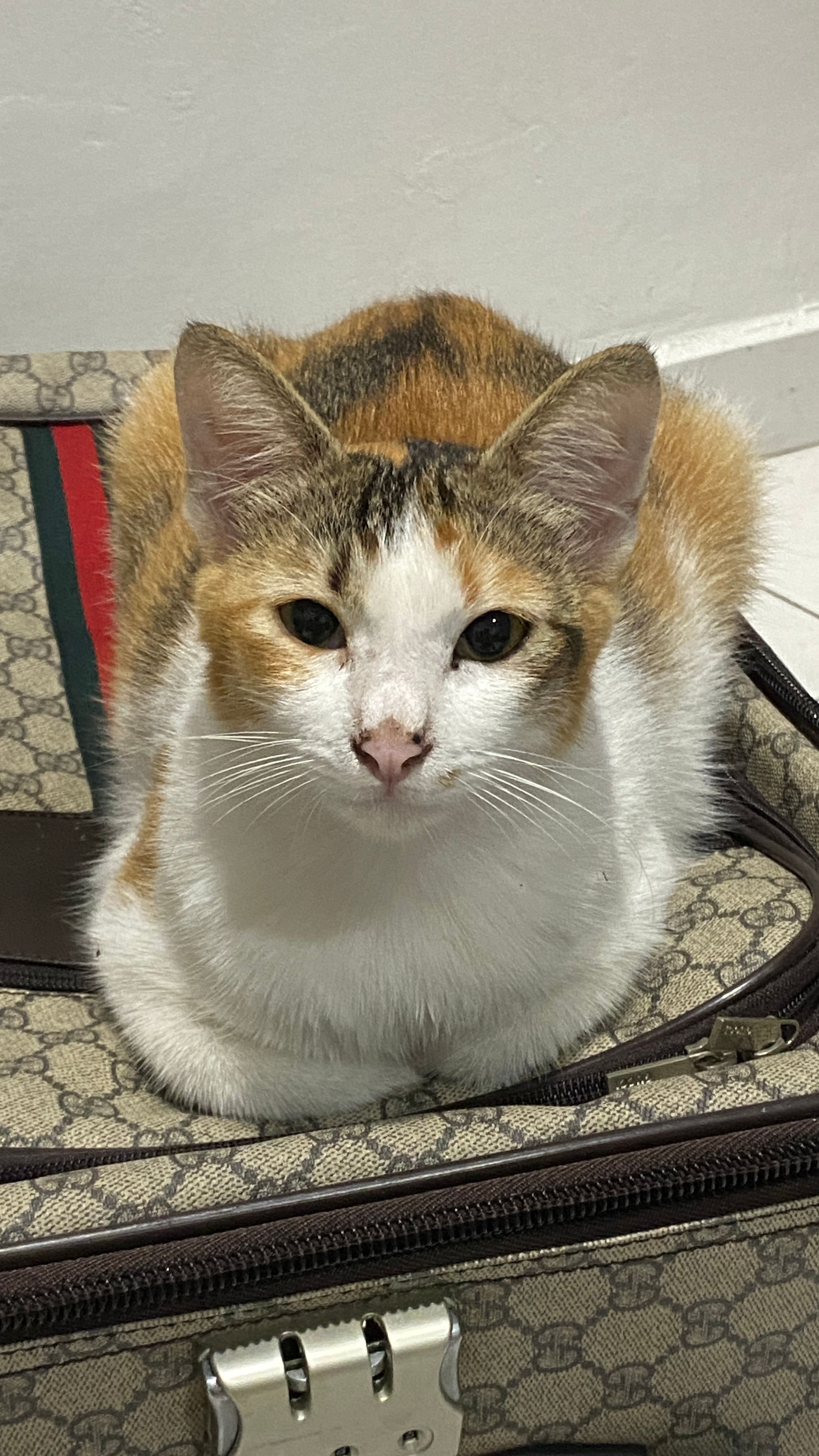 Huahua - 14100, Simpang Ampat