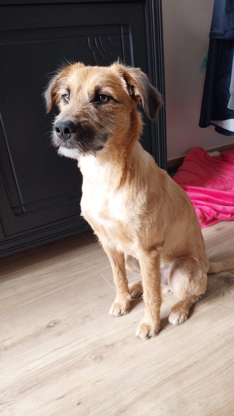 Vlad - Chemin de Combe Gibert, Taluyers