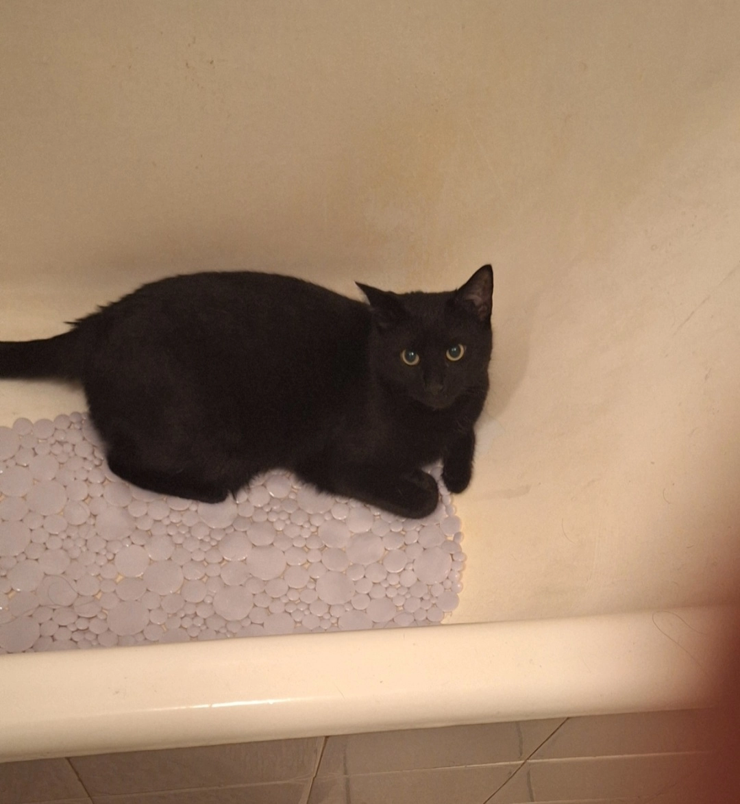 Luna - Medpotoki 2, Zagreb