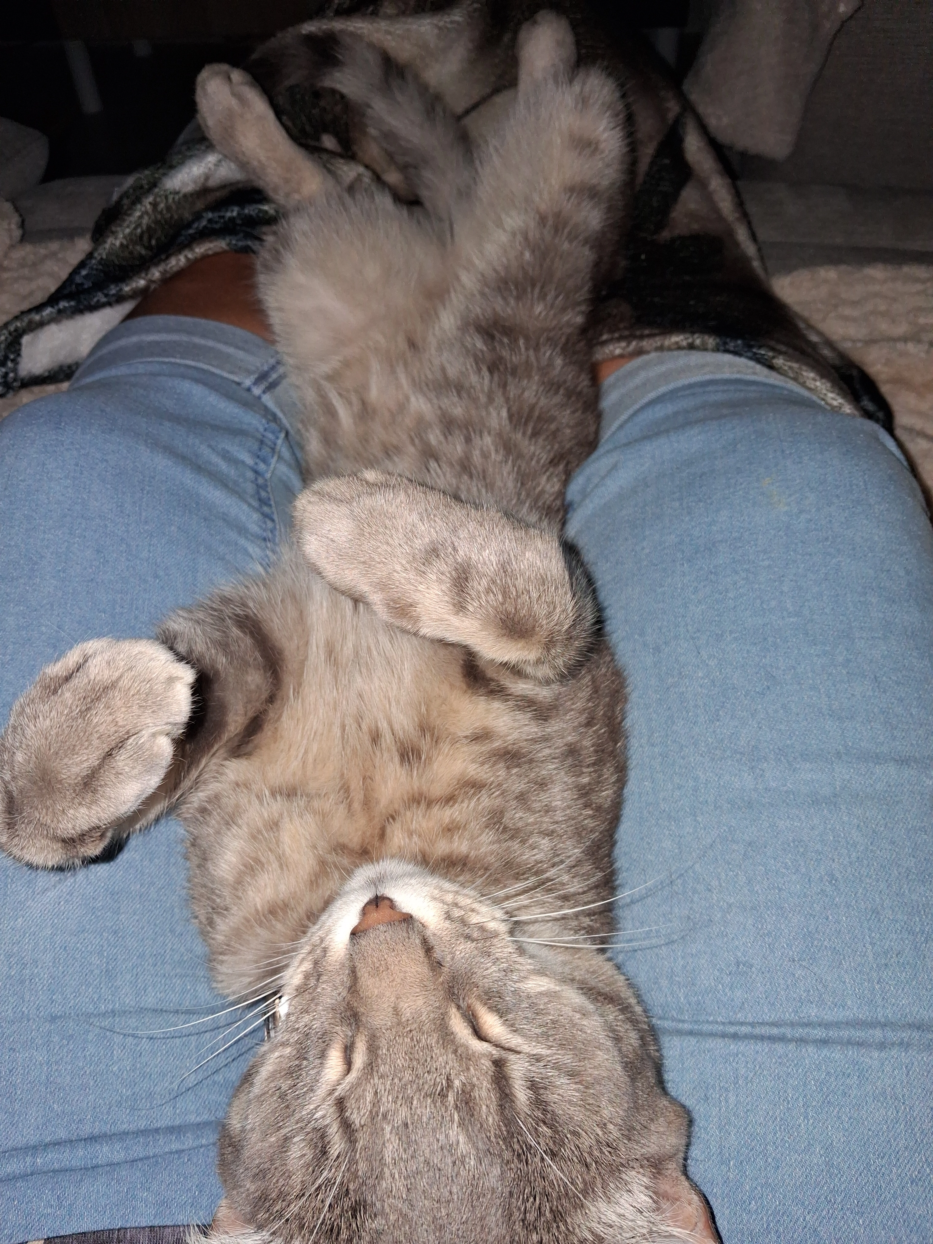 calvados - Rue Entre Deux Cours, Laquenexy