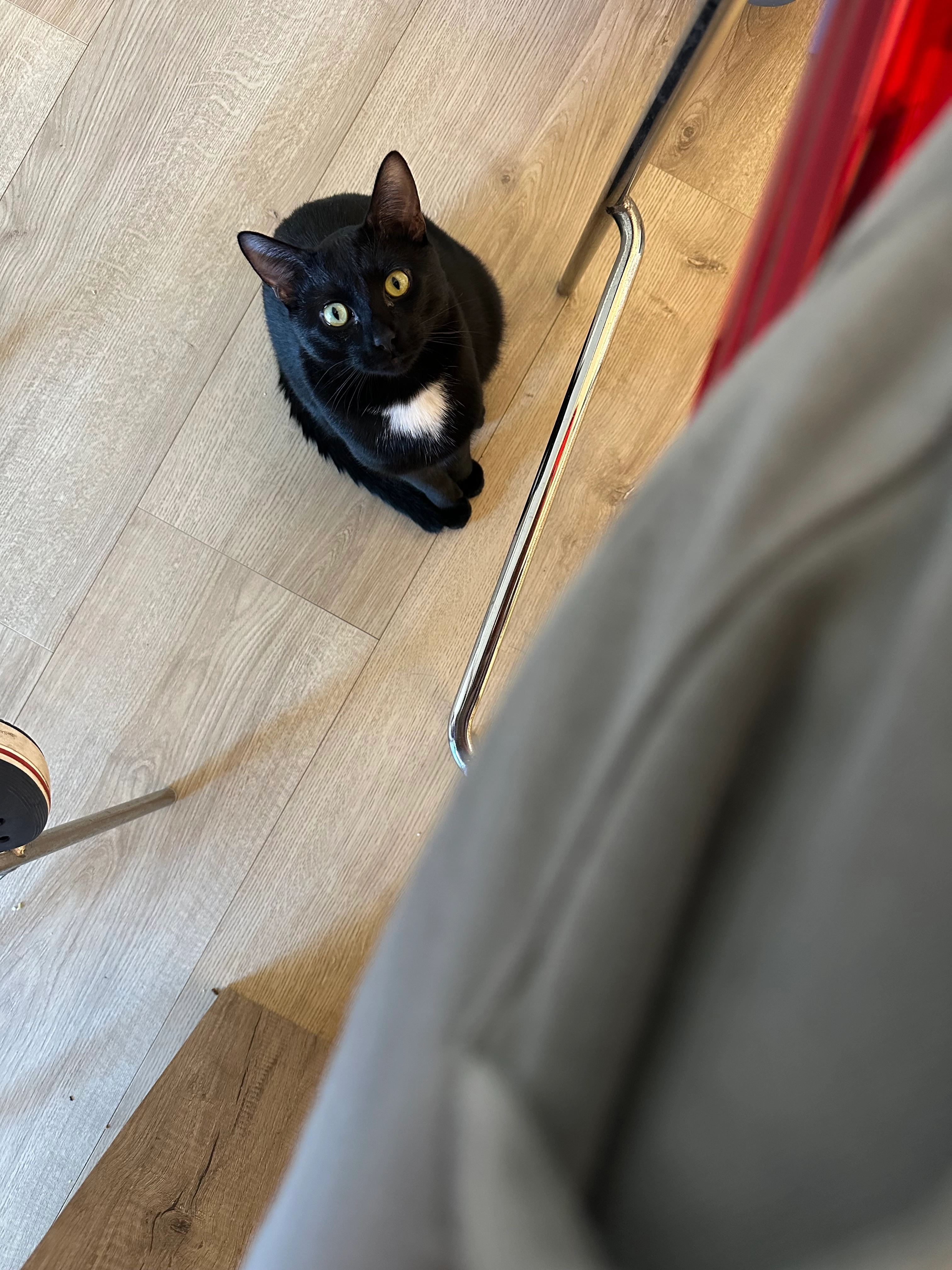 Yoko - 8 Square de Mont-Louis, Louvres