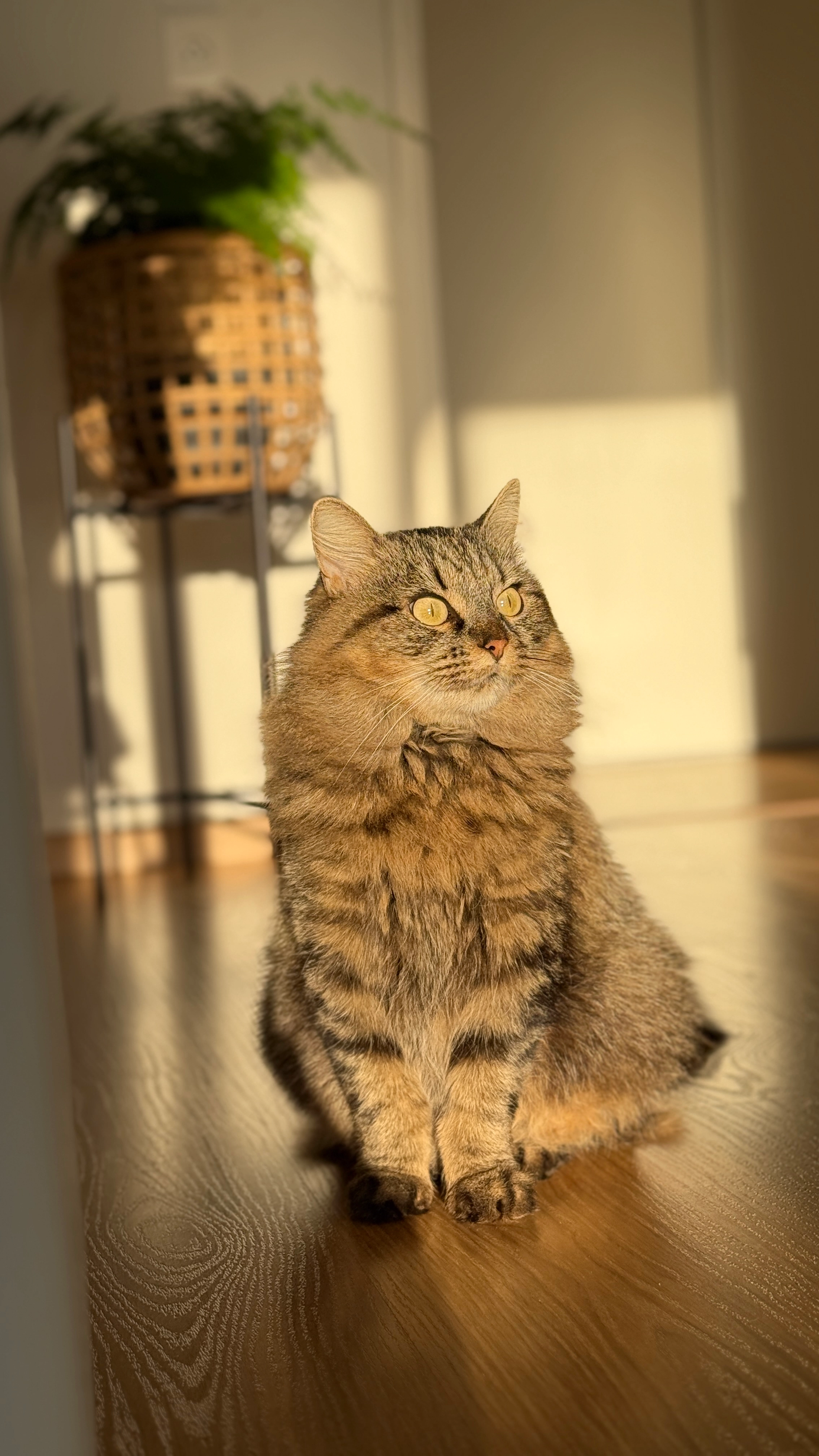 Murka - 15 Rue de Port-la-Blanche, Nantes