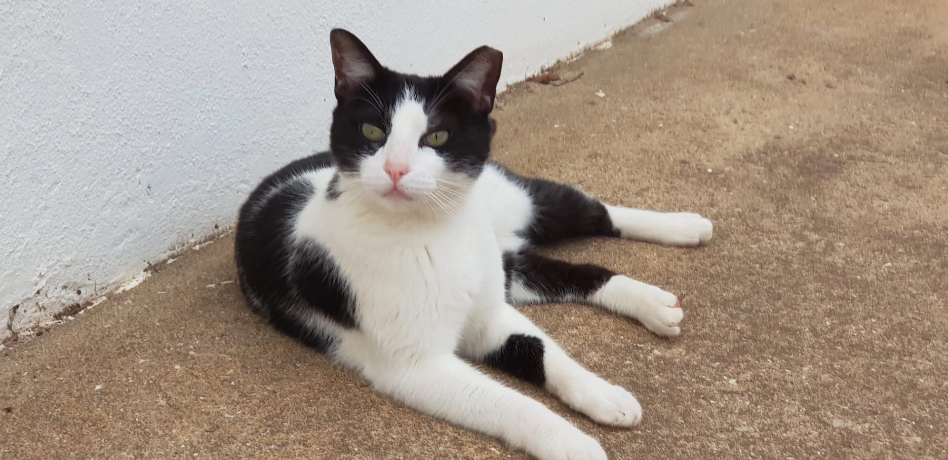 Felix - Estrada Rocha Baixinha, Albufeira e Olhos de Água