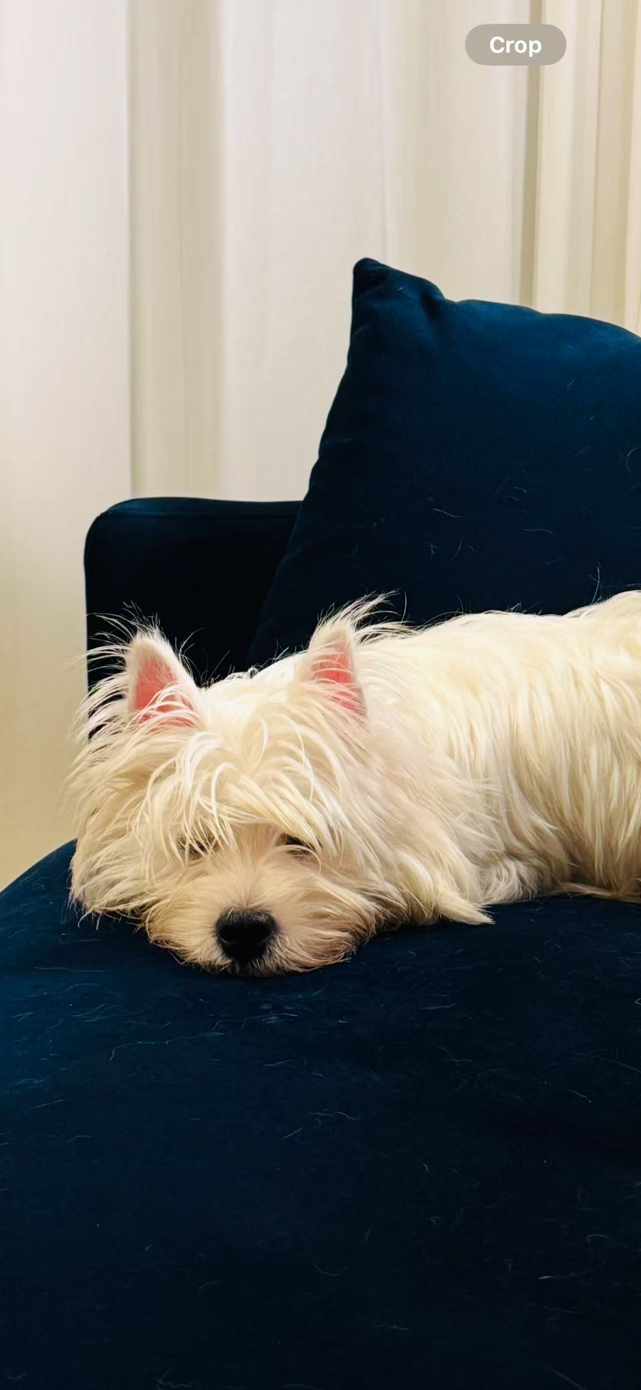 Esmée - Rue Du Docteur Léon Deglaire, Montgeron