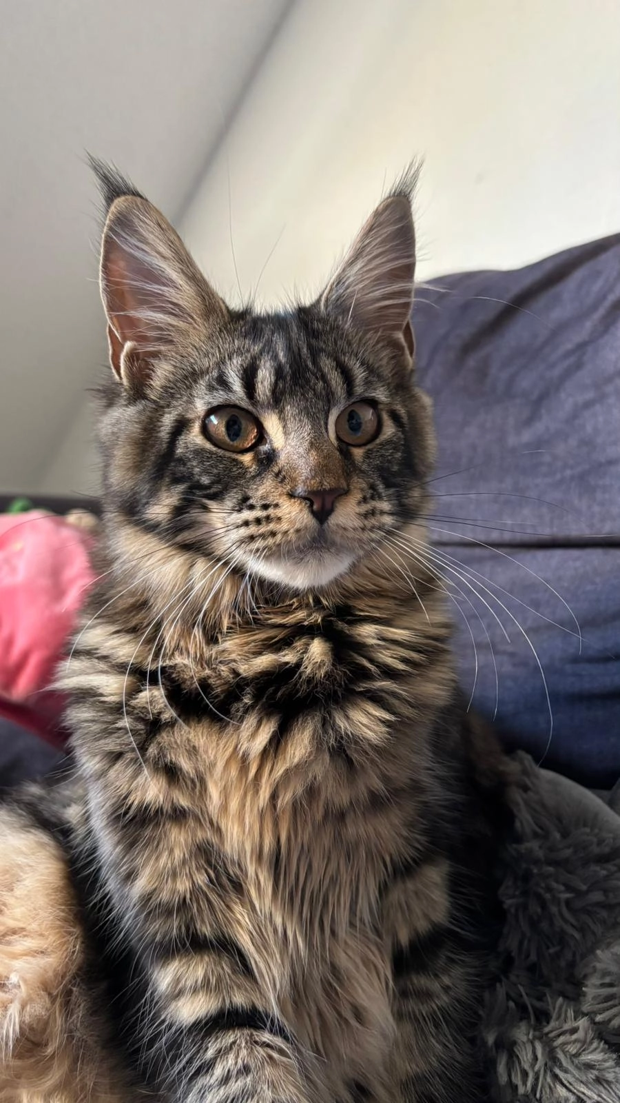 Nala - Kornstraße, Bremen