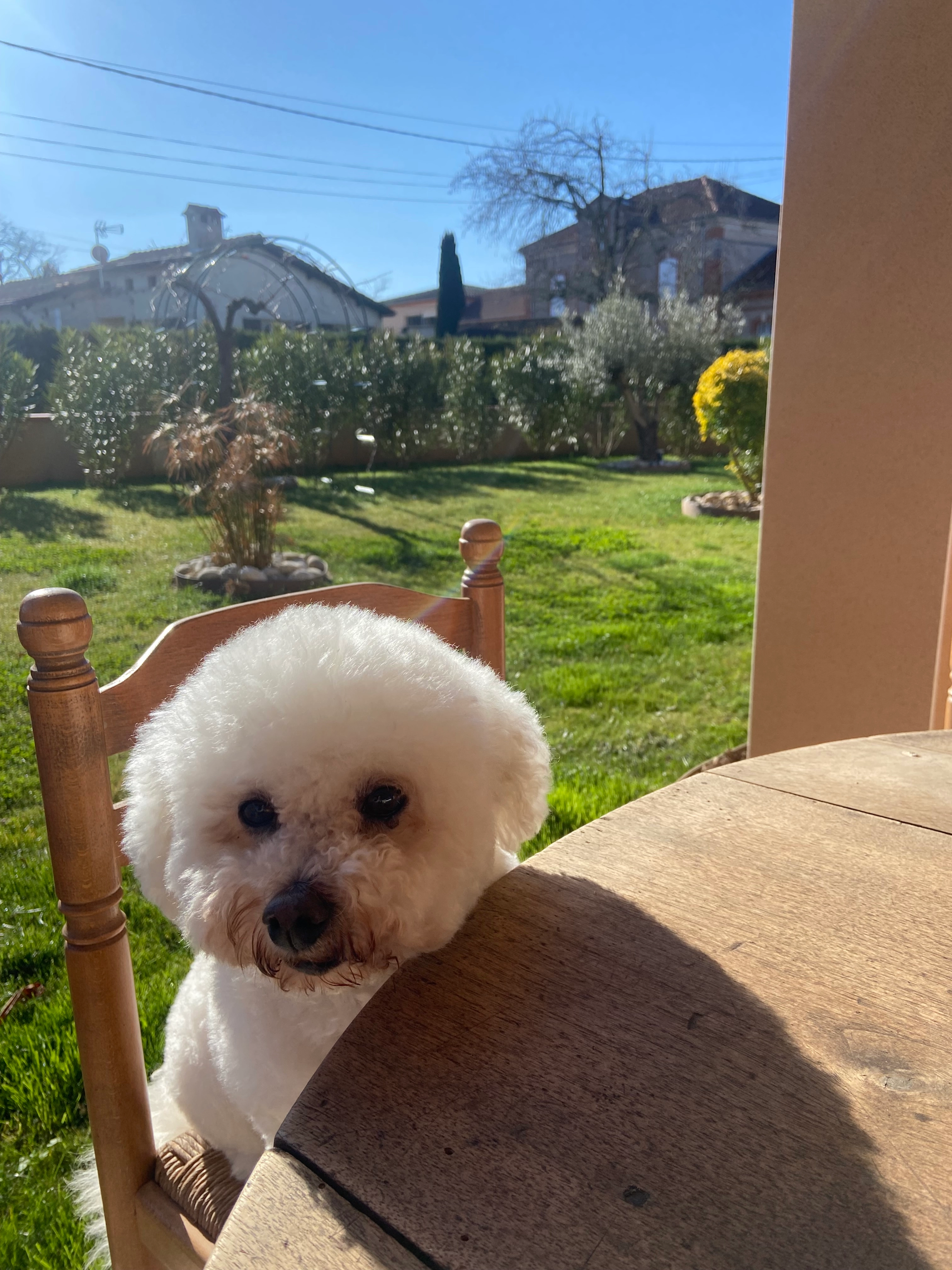 Isis - Avenue de l'Hermet, Lescure-d'Albigeois