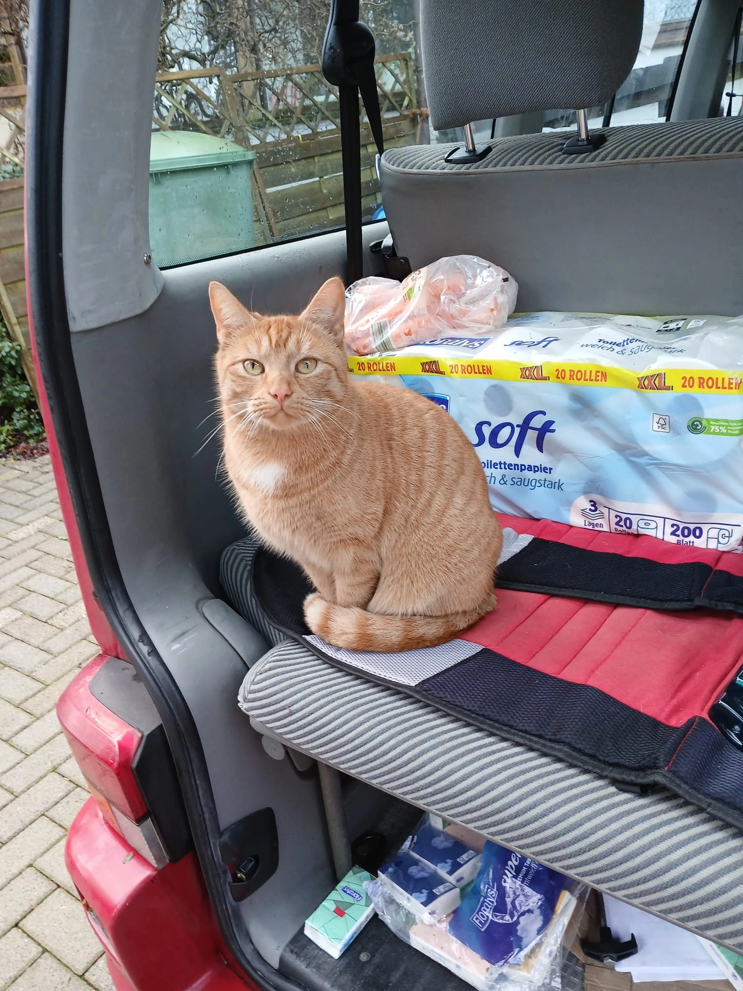 Findus - Gebhardtstraße, Barßel