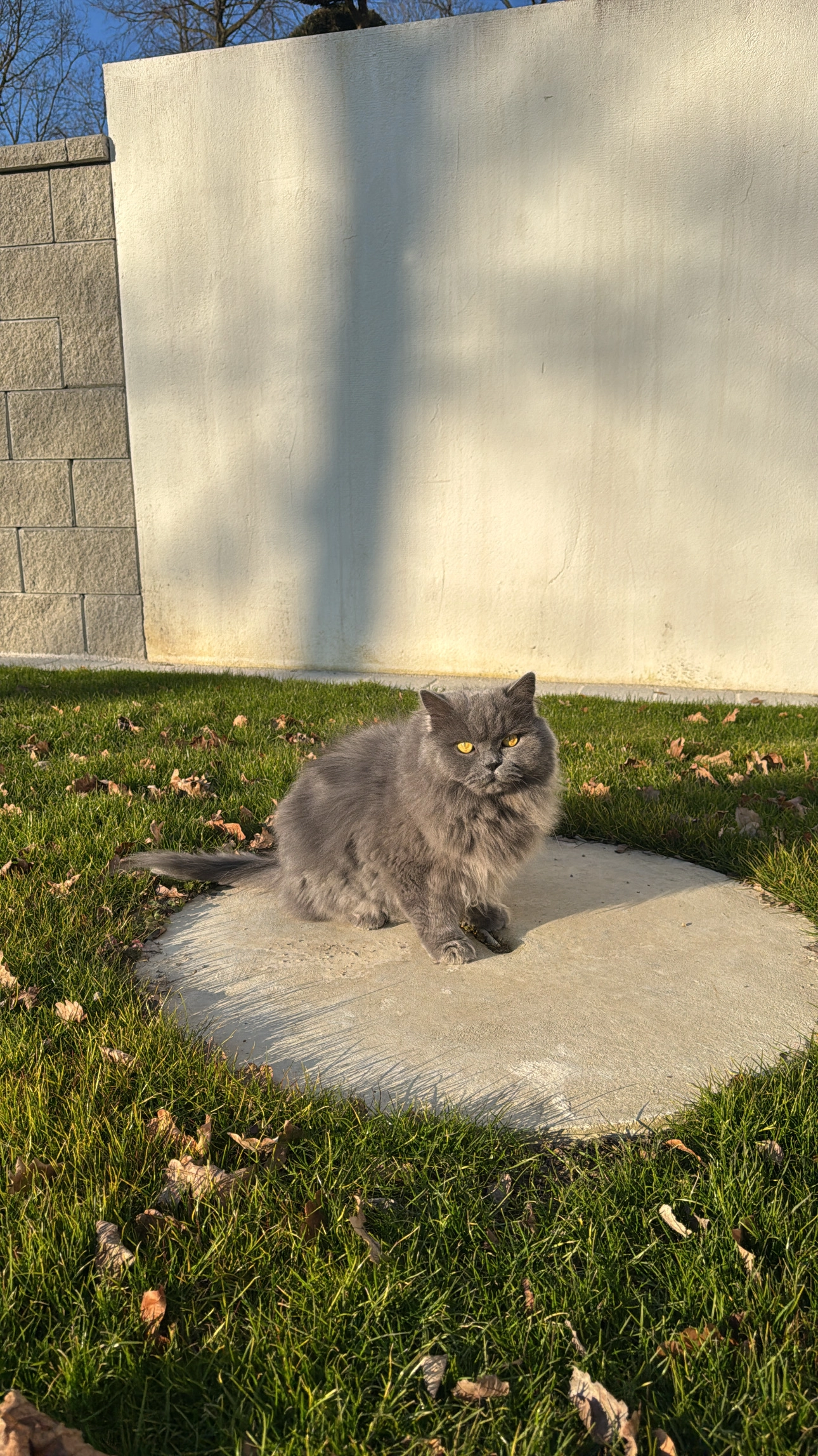 Mip - Bäckermühlweg, Linz