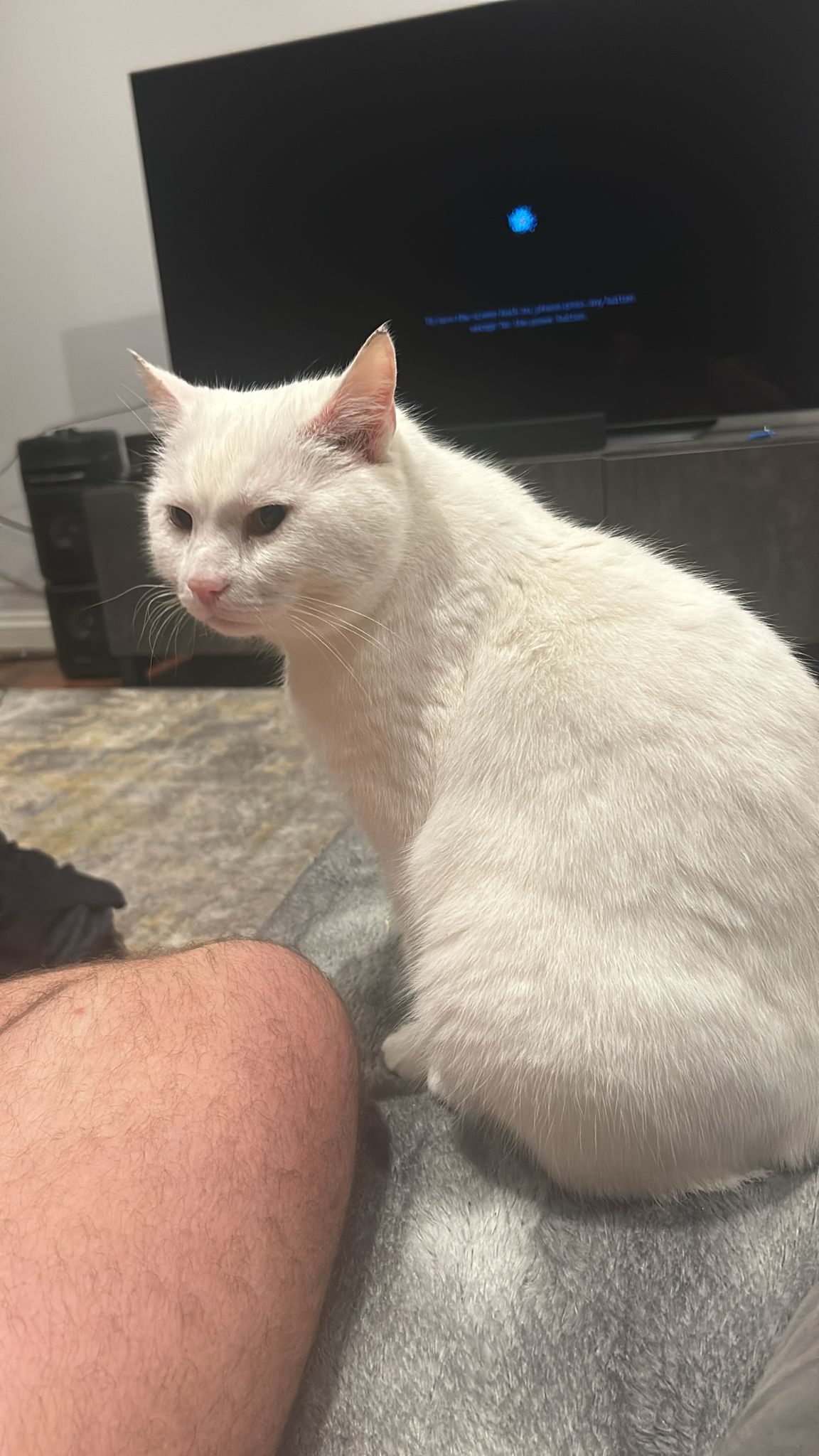 Storm - Verica Gardens, Tadley