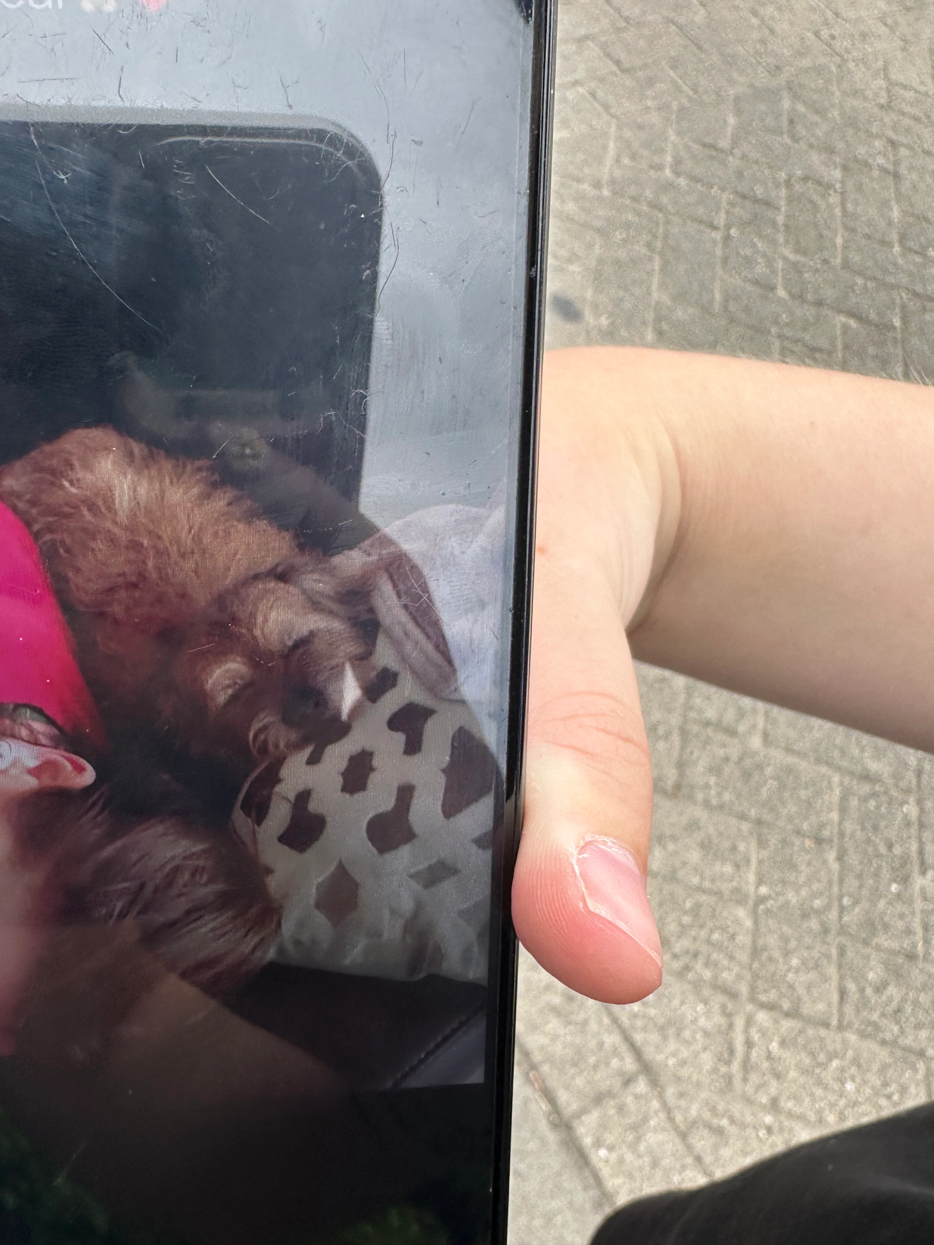 Betsy - Tamboerijn, Etten-Leur