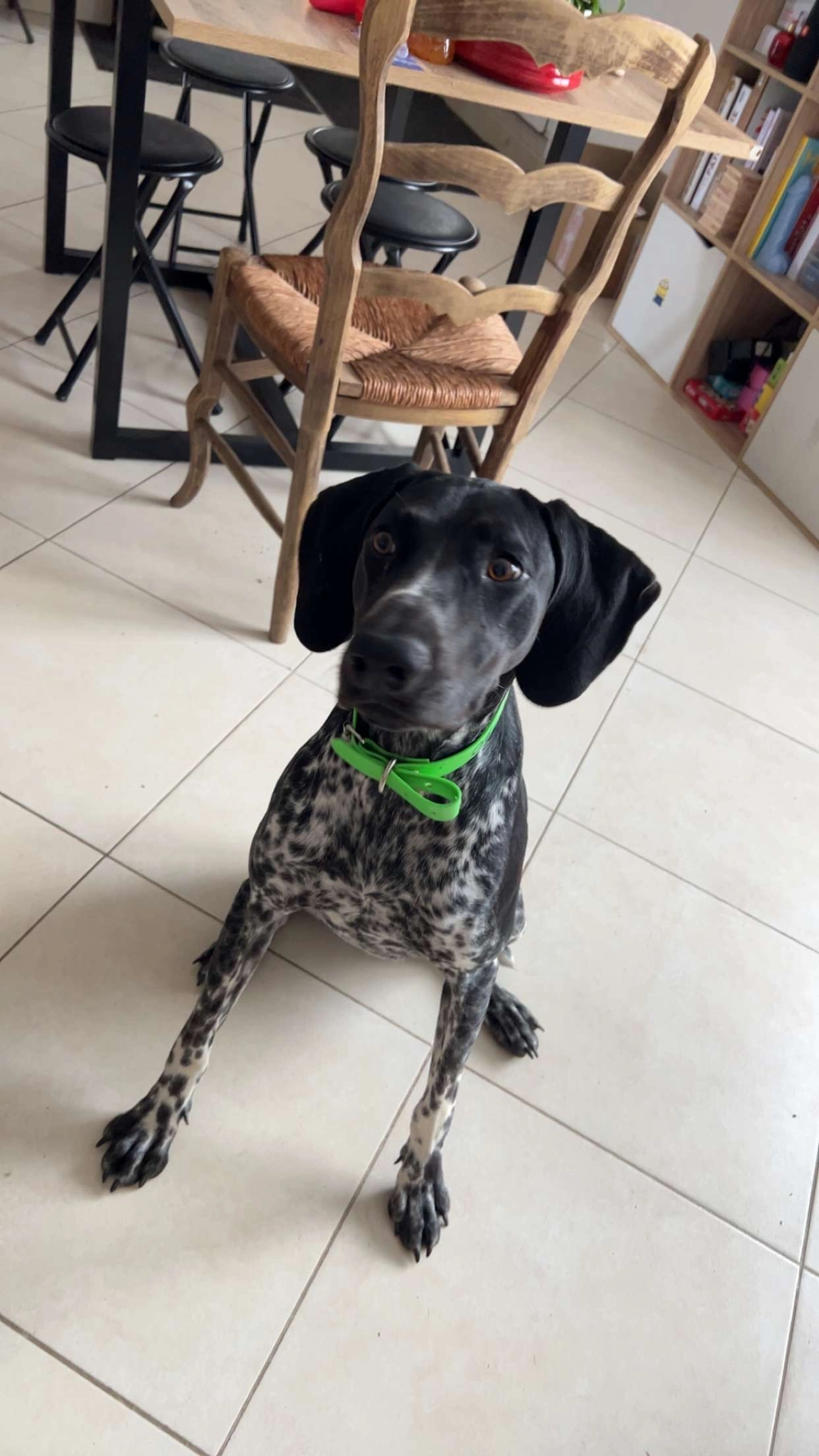 Venise - Route de Thouars, Geay