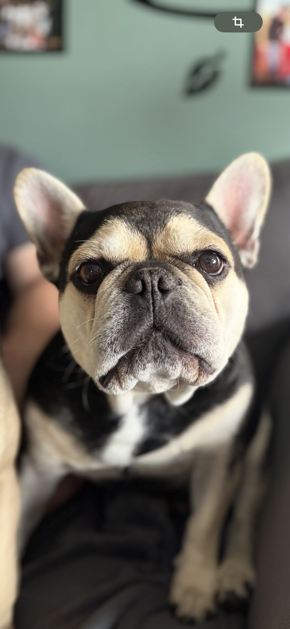 Otto - Rue de Presseux, Sprimont