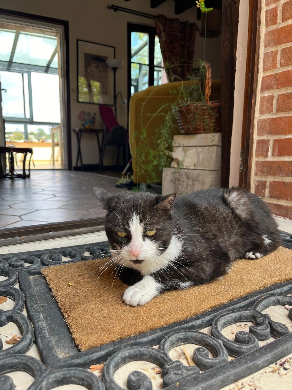 Lola - 21 Rue Destouches, Amboise