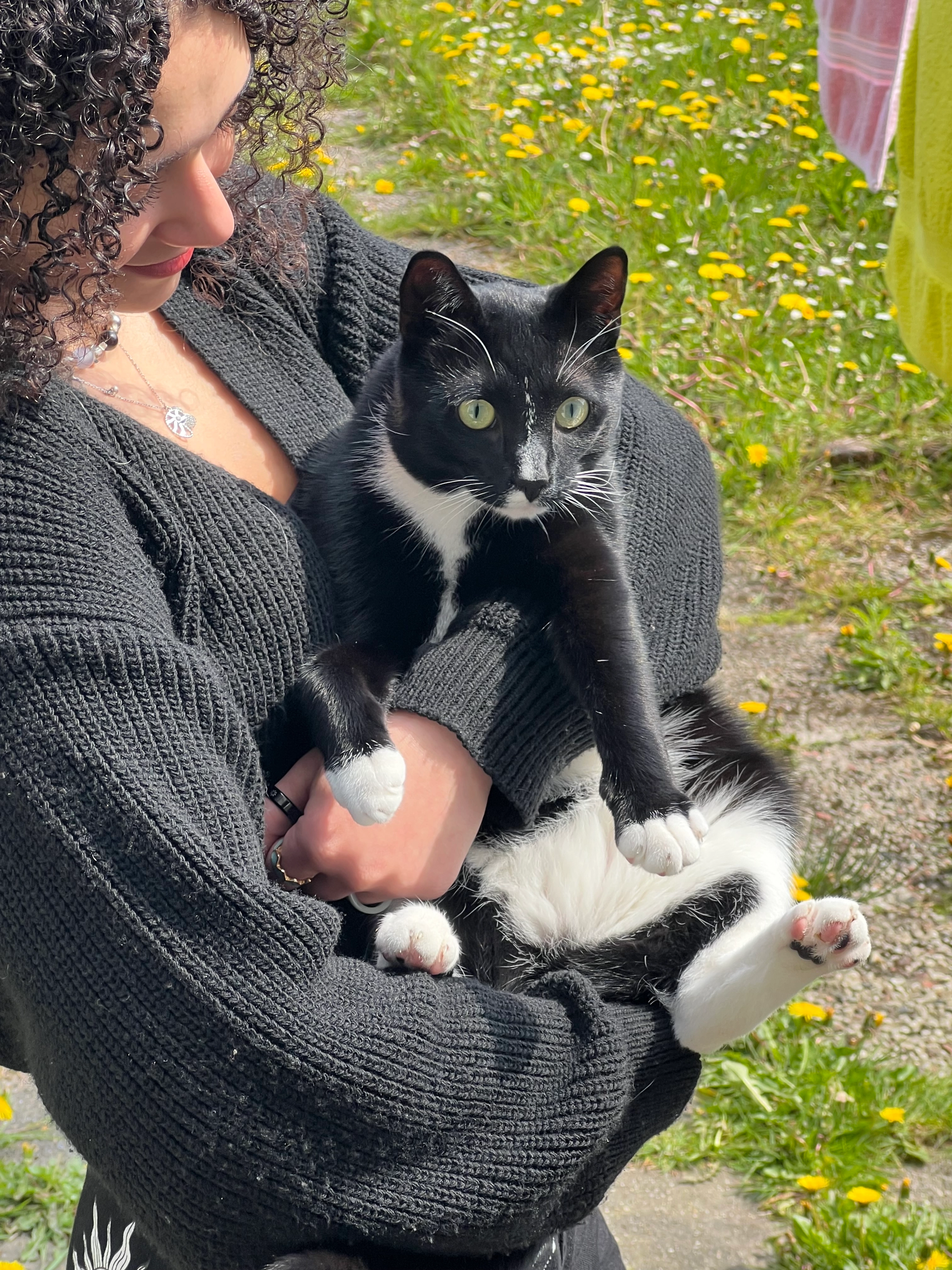 Moon - Pietersoutmanlaan , Heerhugowaard