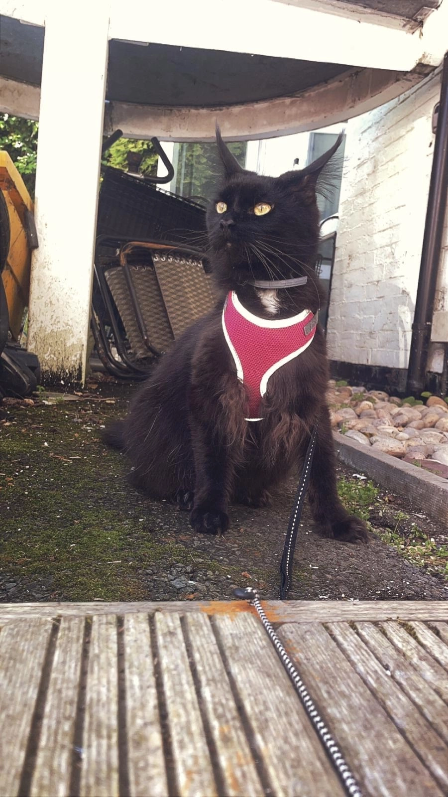 Freya - CV37 8, Stratford-Upon-Avon