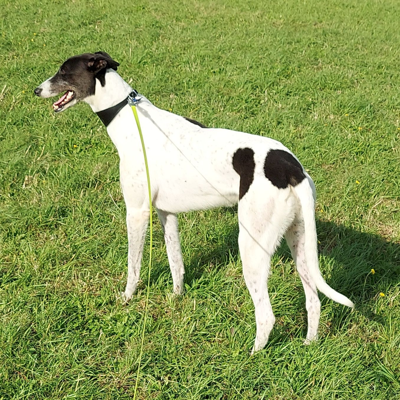 Zeeto  - Stoney Well Lane, Rotherham