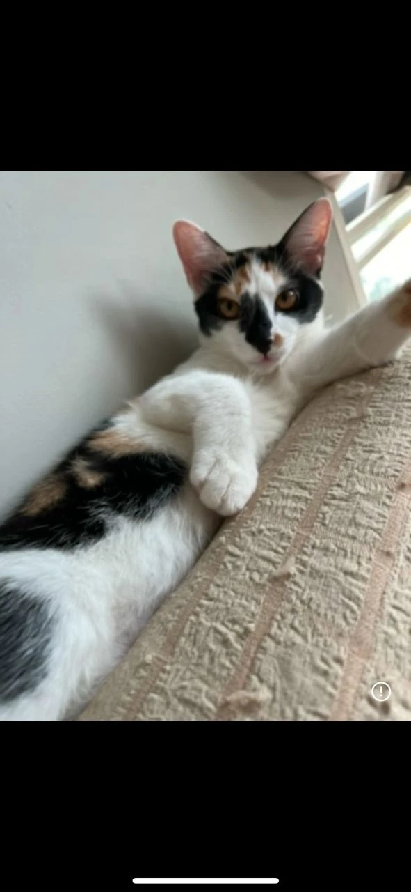 Mini - Jalan Teknokrat 1/1, Dengkil