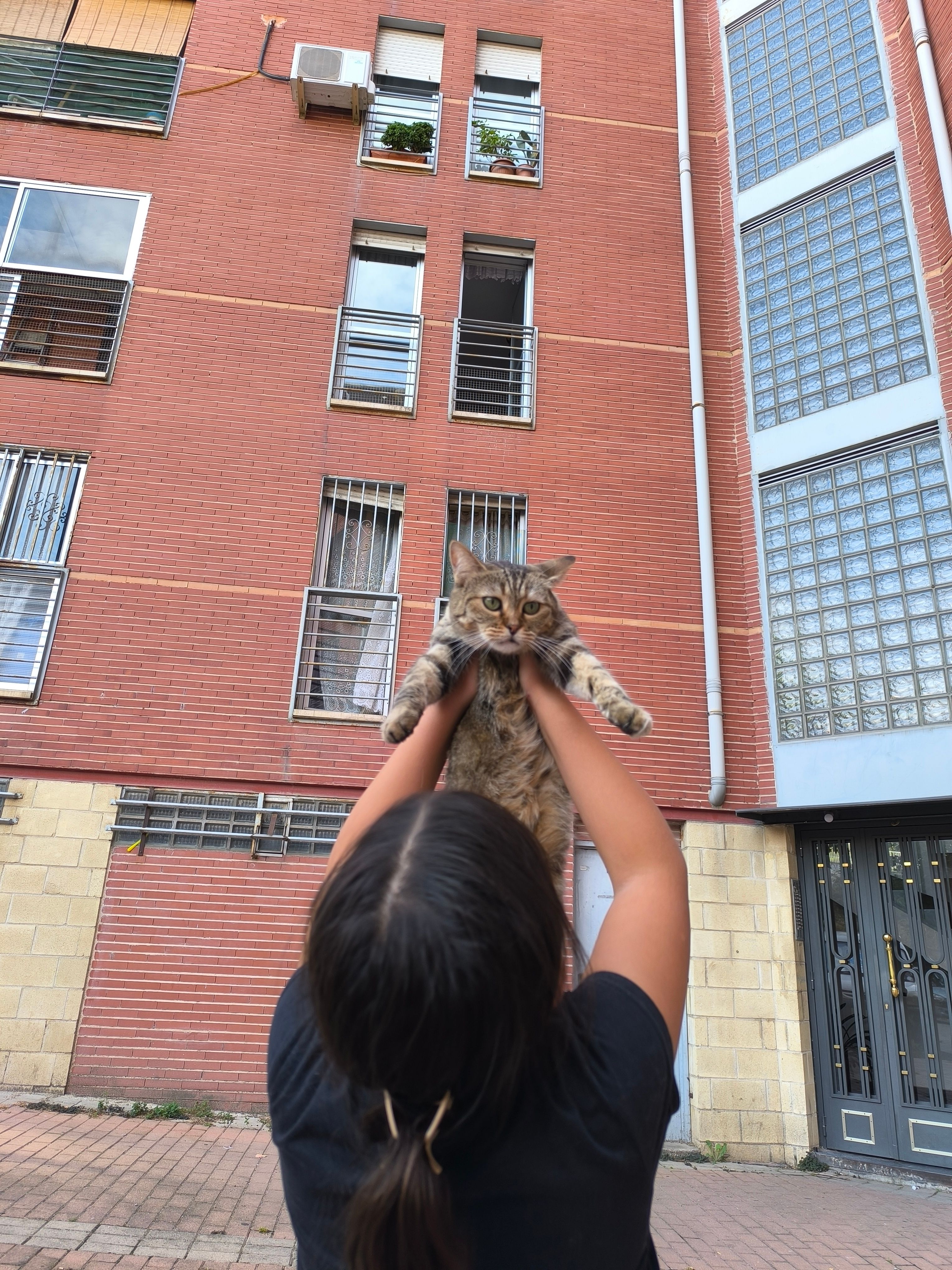 Elsa - Carretera del Pardo a Fuencarral, Madrid