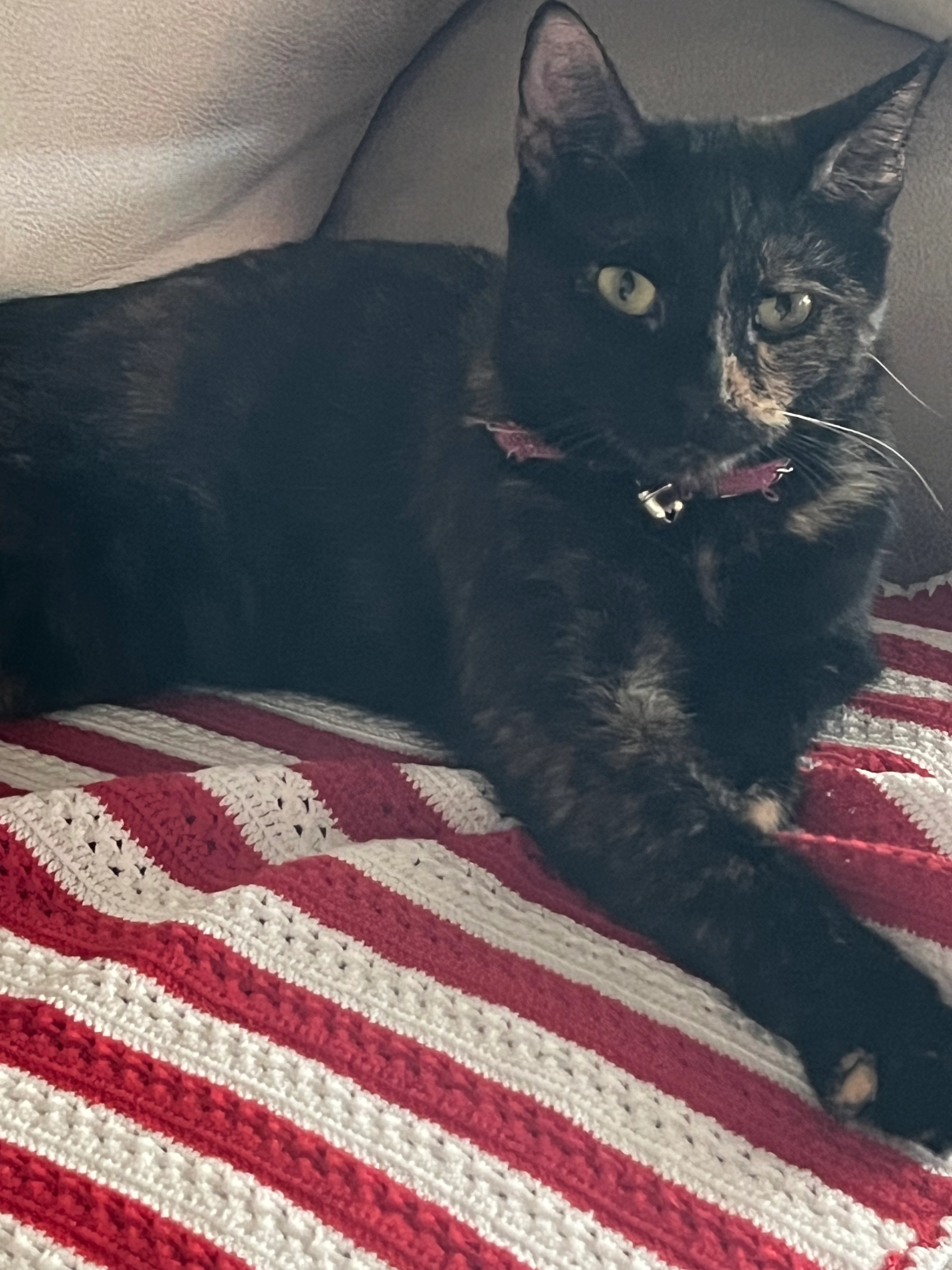 Lina - 37 Avenue Amédée Mercier, Bourg-en-Bresse