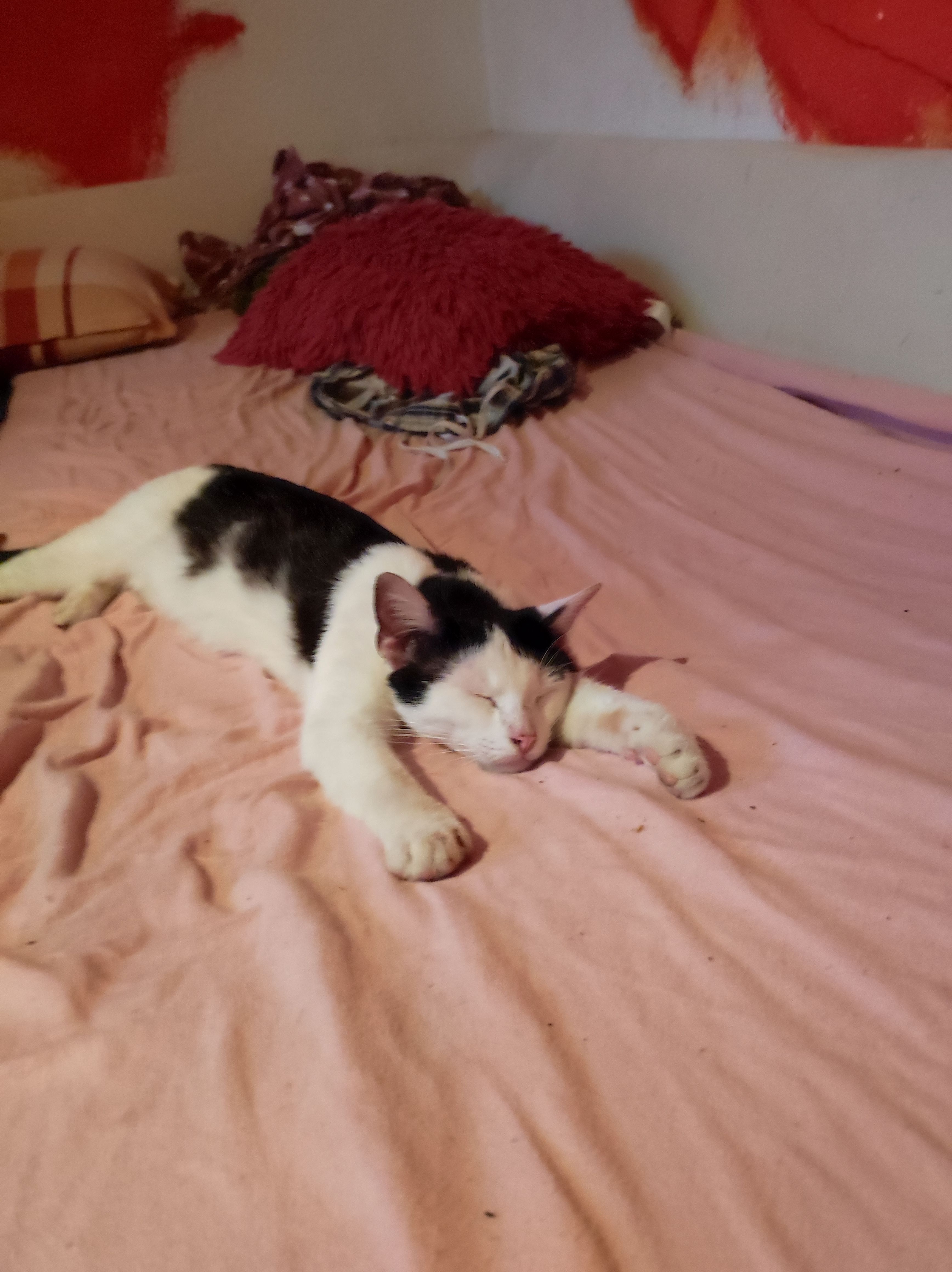 Zwickzwack - Hospitalstraße, Zeitz