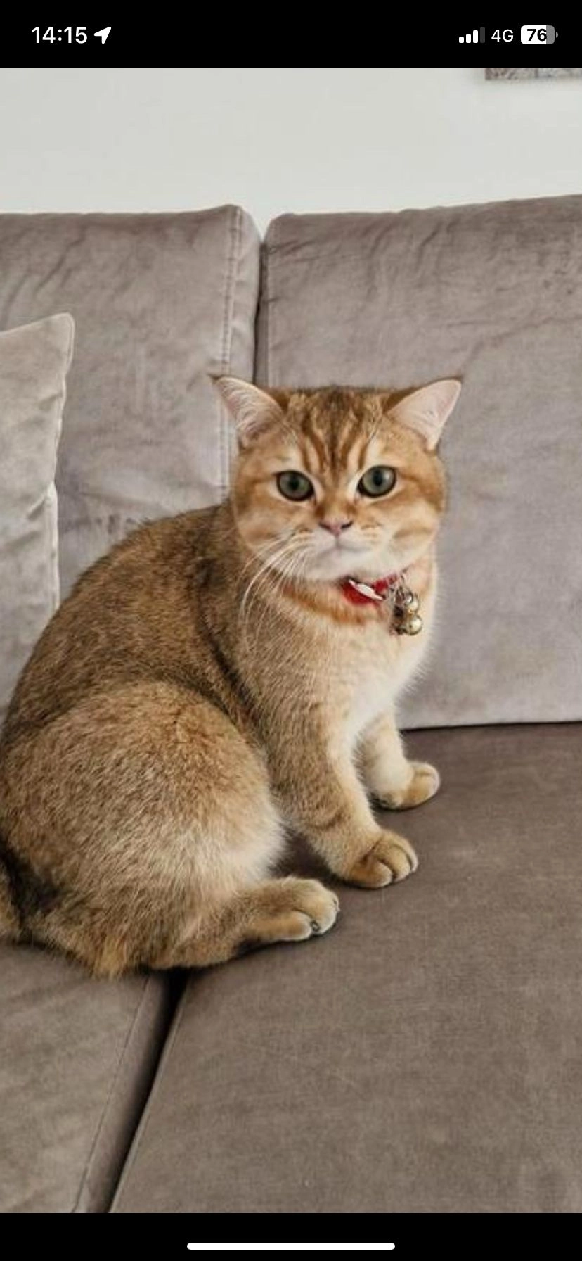 Maya - Herman Kruyderlaan, Almelo