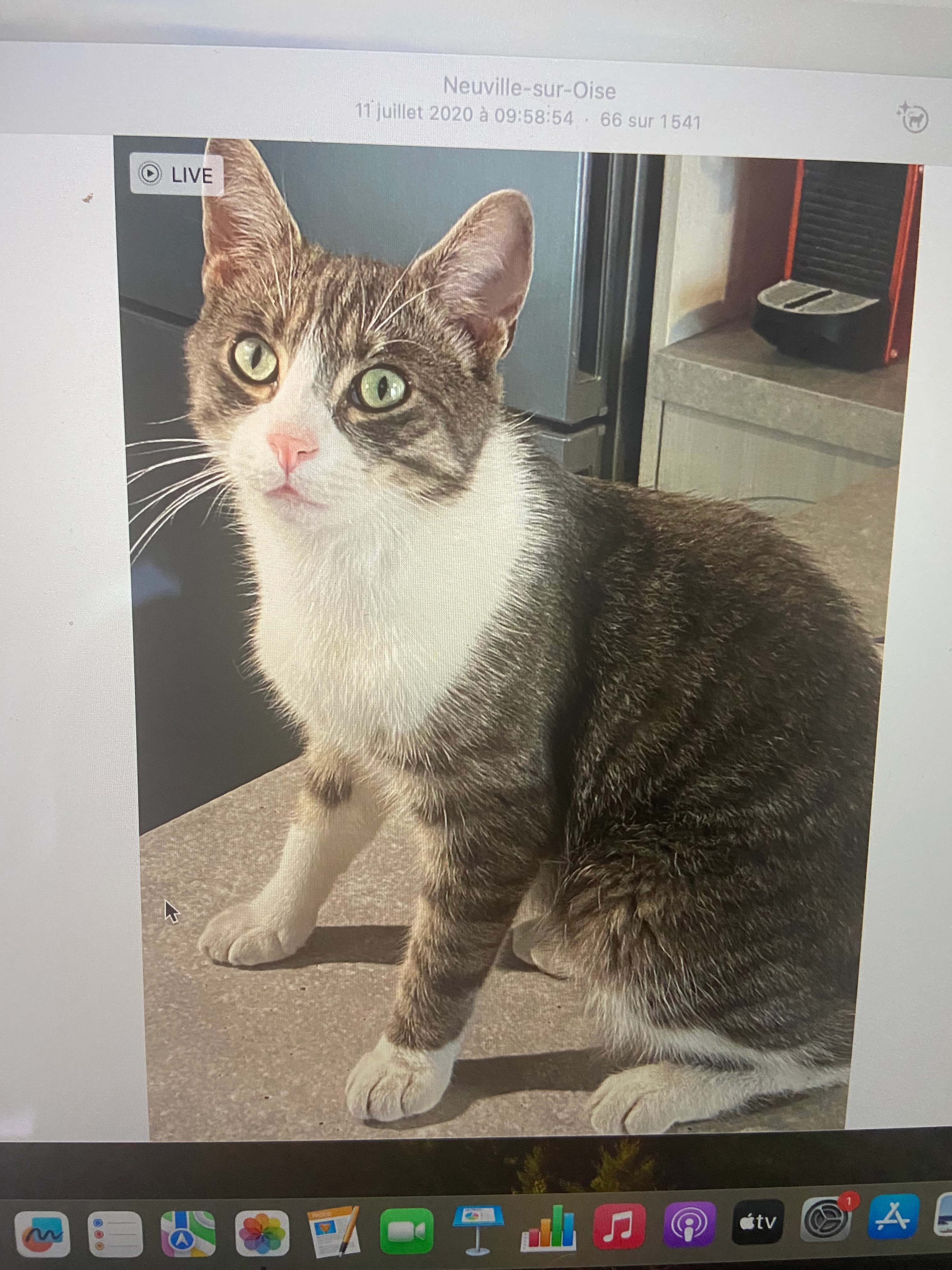 Phoenix - 10 Rue Baillet, La Neuville-en-Hez