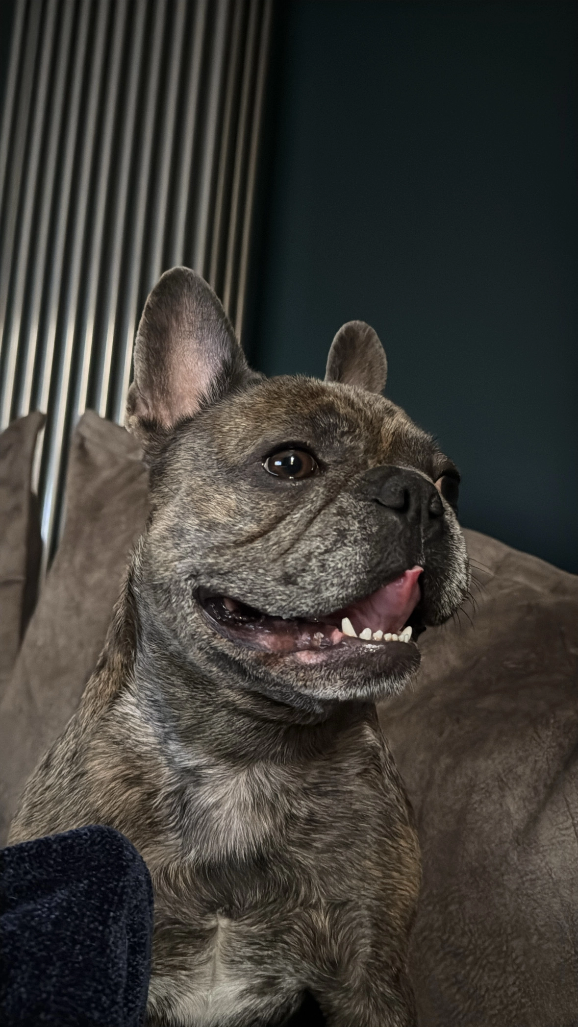 GEORGE - Suffolk Place, Cheltenham