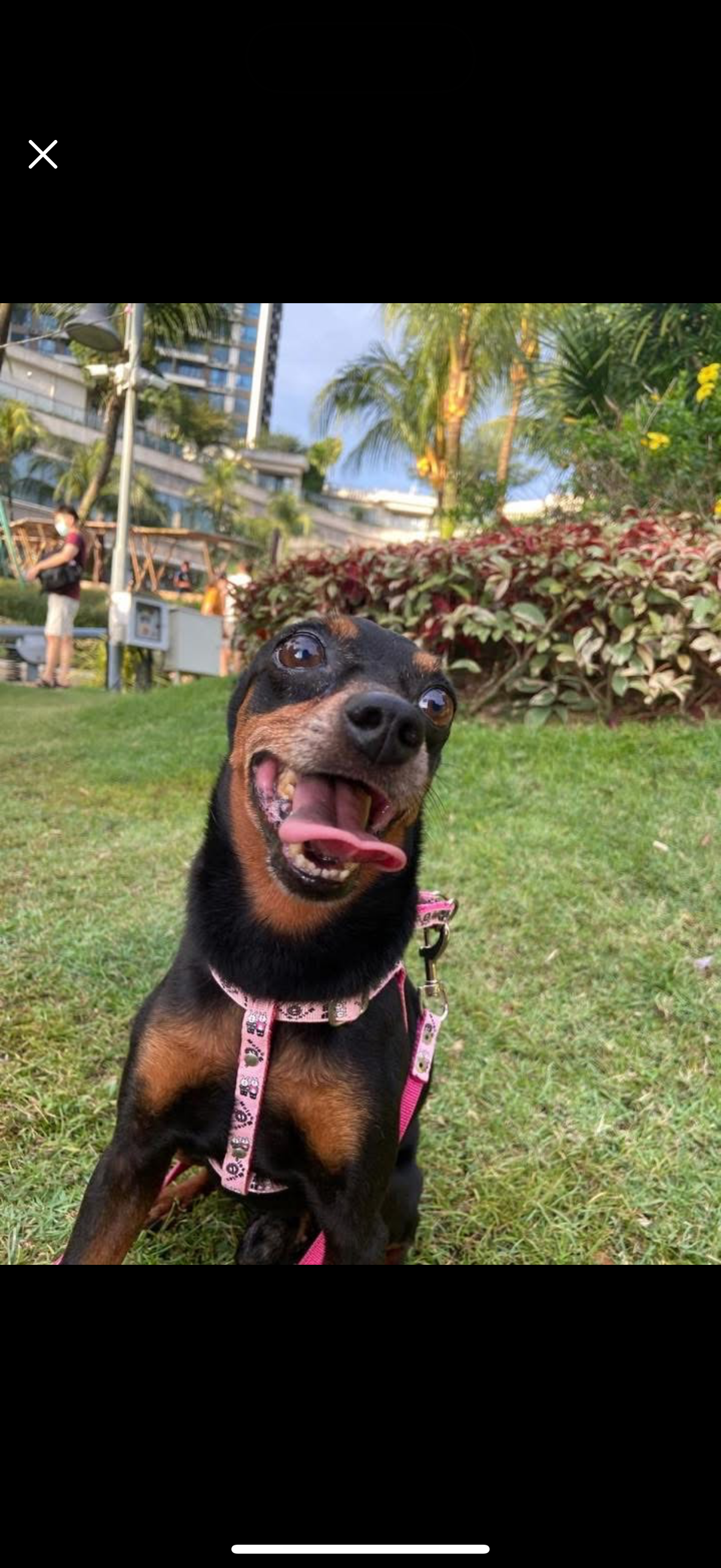 xiao hei - 68100, Batu Caves