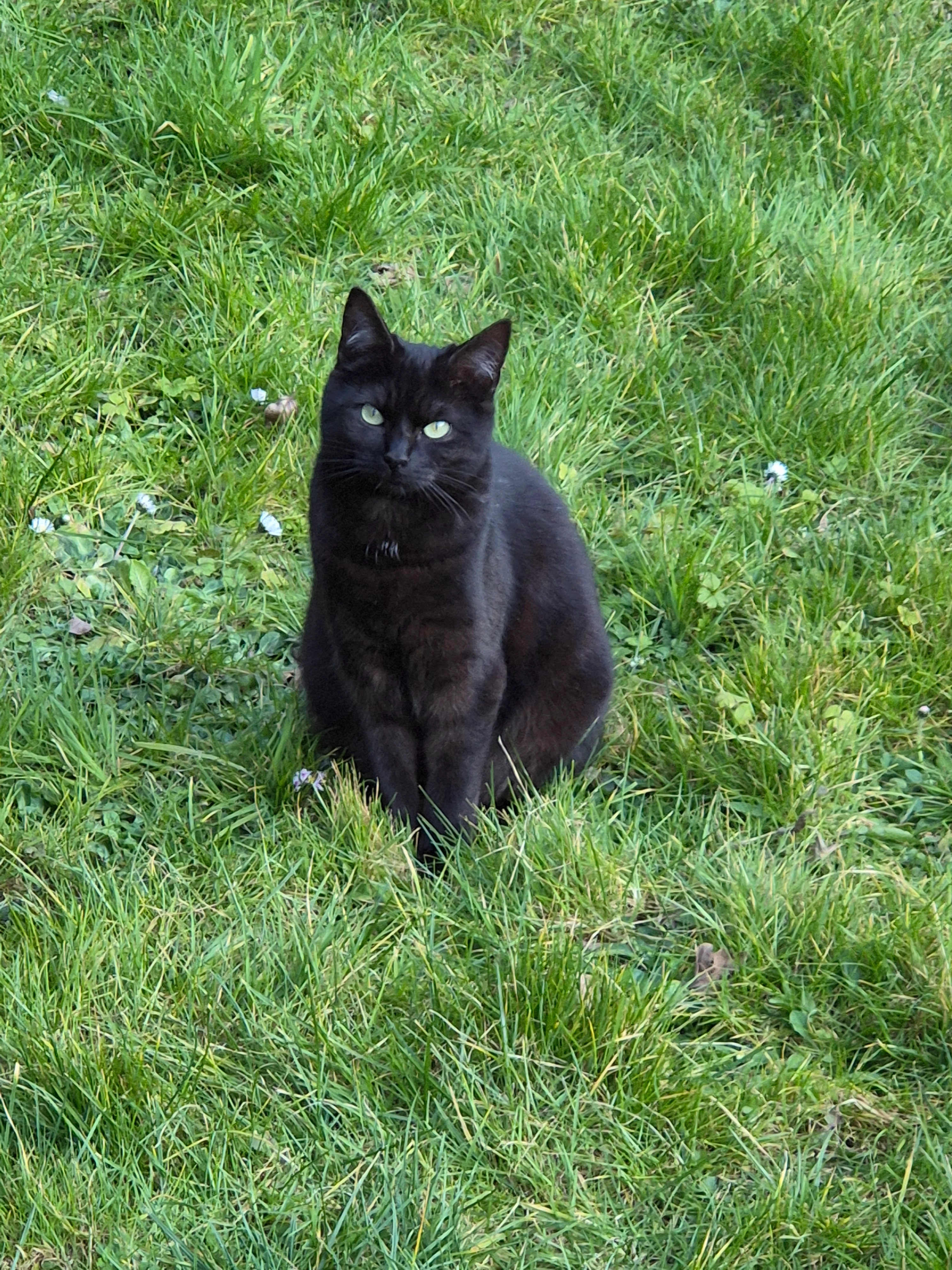 Evoli  - Rue De La Ville, Bouquemaison