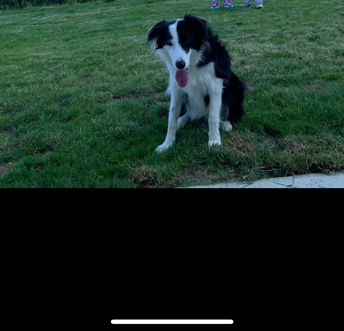 Tokyo  - Impasse Des Mortiers, Larnage