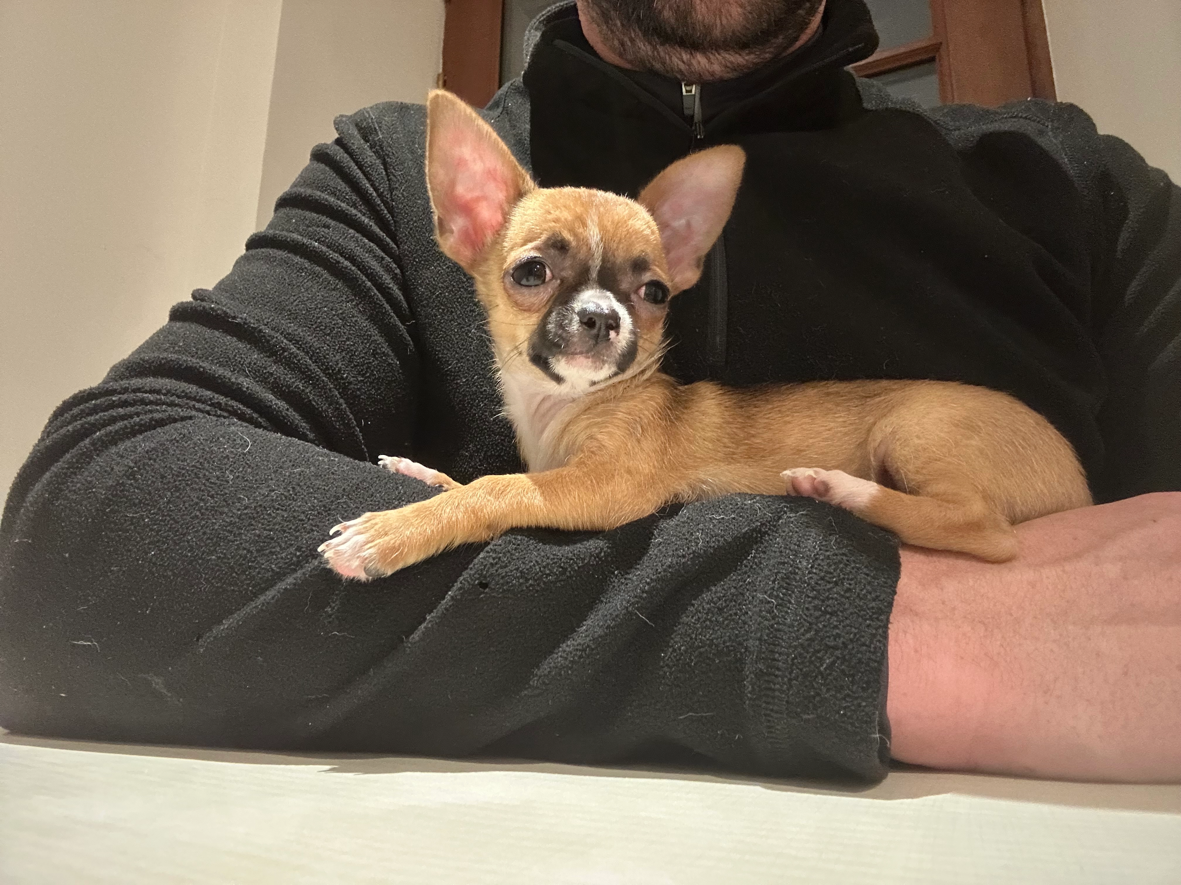 Kiki - Le Cormier, Coudray-au-Perche