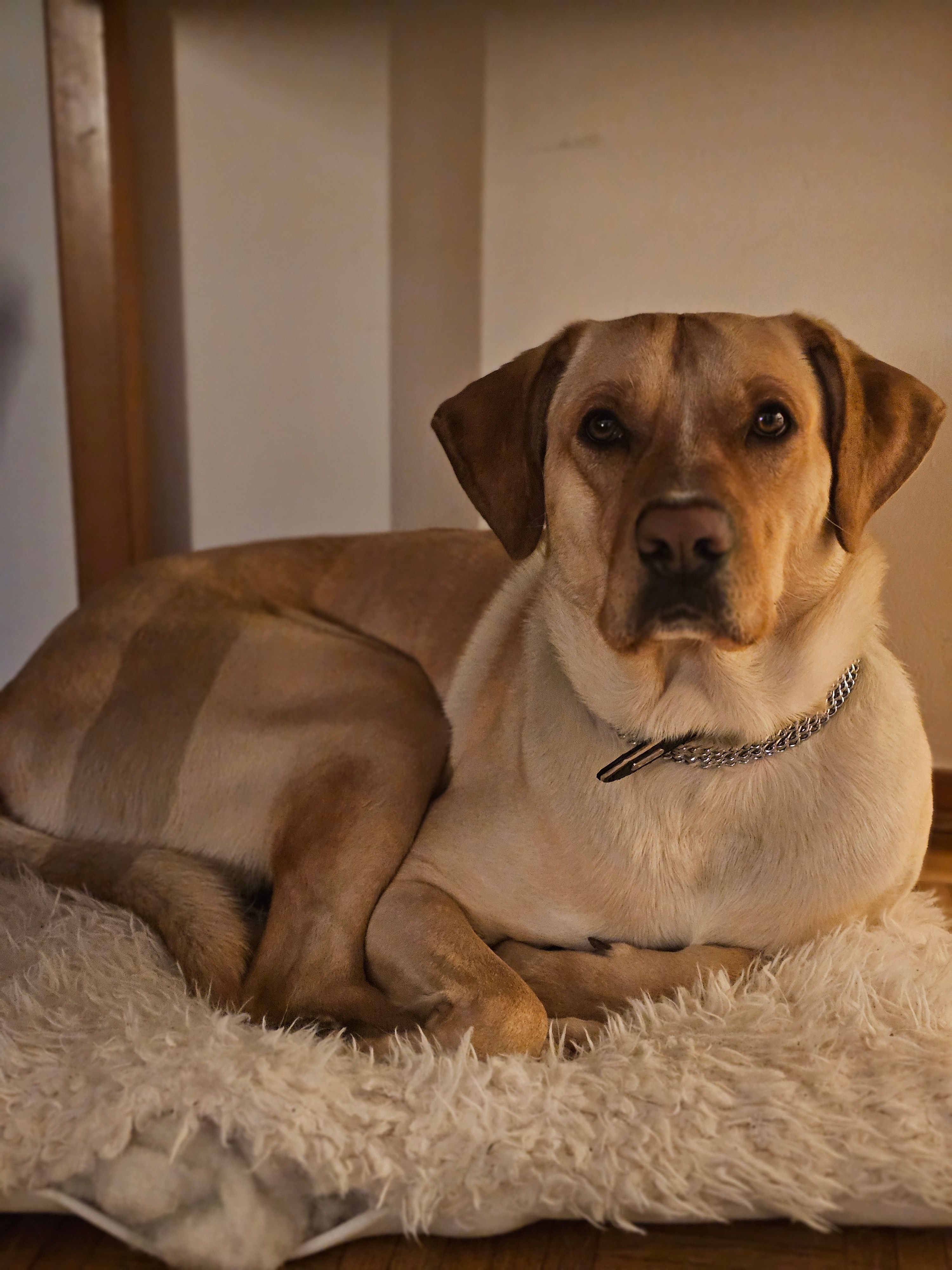 Scott - Via Giuseppe Pagani, Saronno