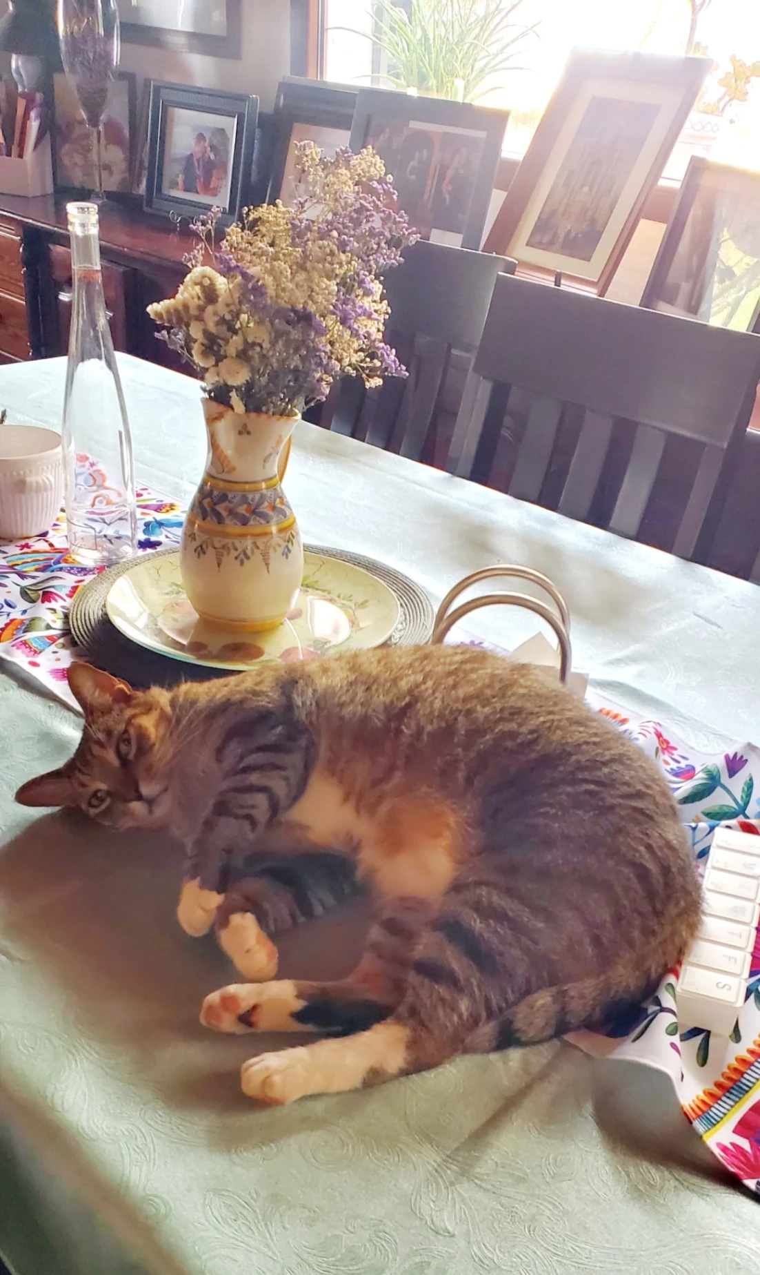 Charlie - Avenida de las Piletas, Sanlúcar de Barrameda