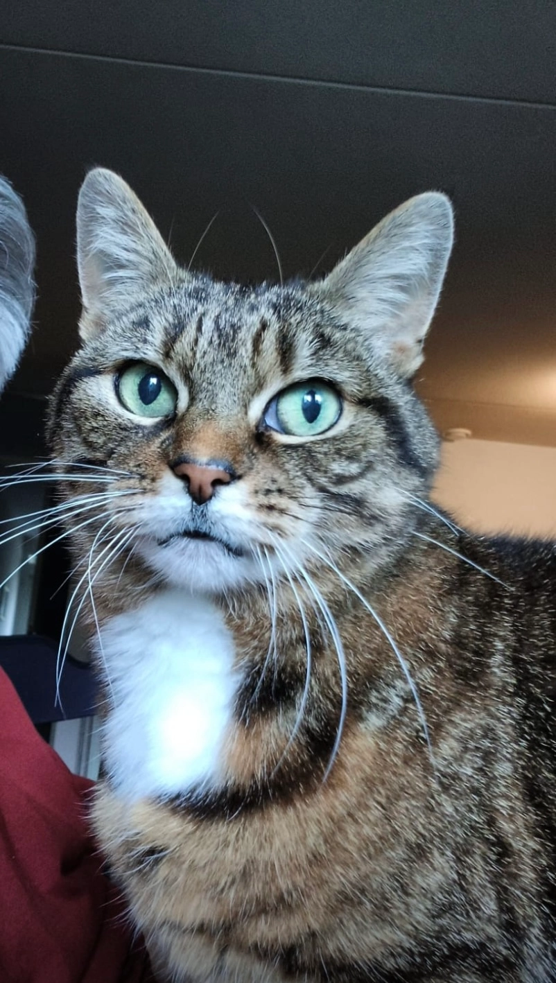 Luna - Plattenburghof, Arnhem