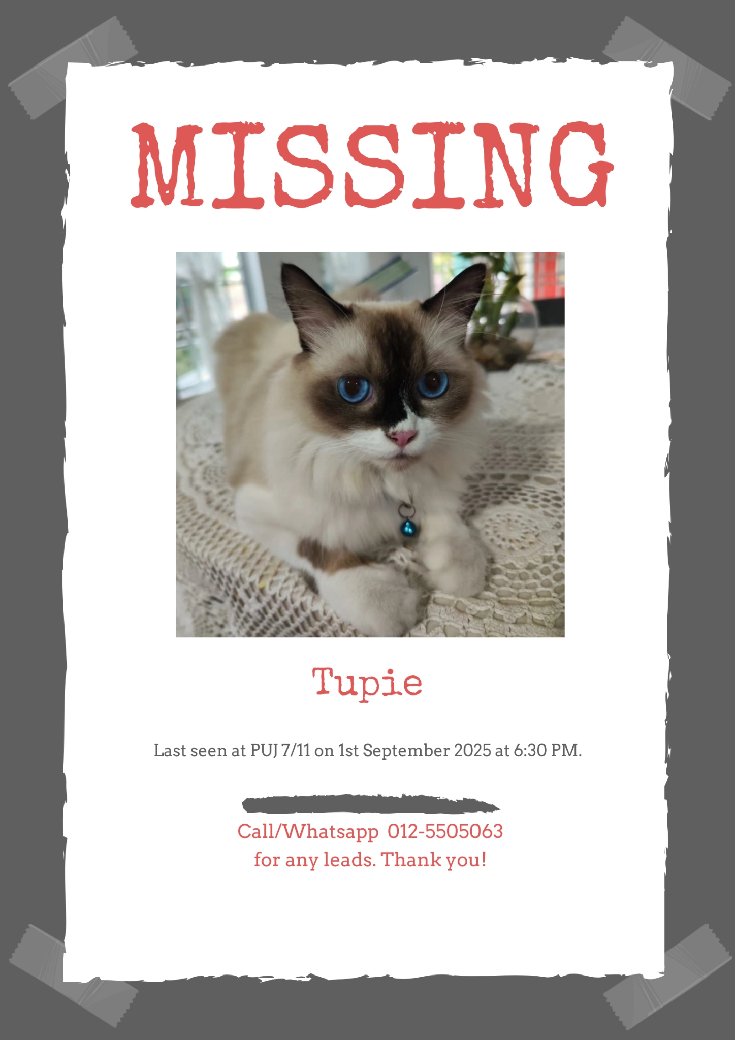 Tupie - Jalan PUJ 7, Serdang