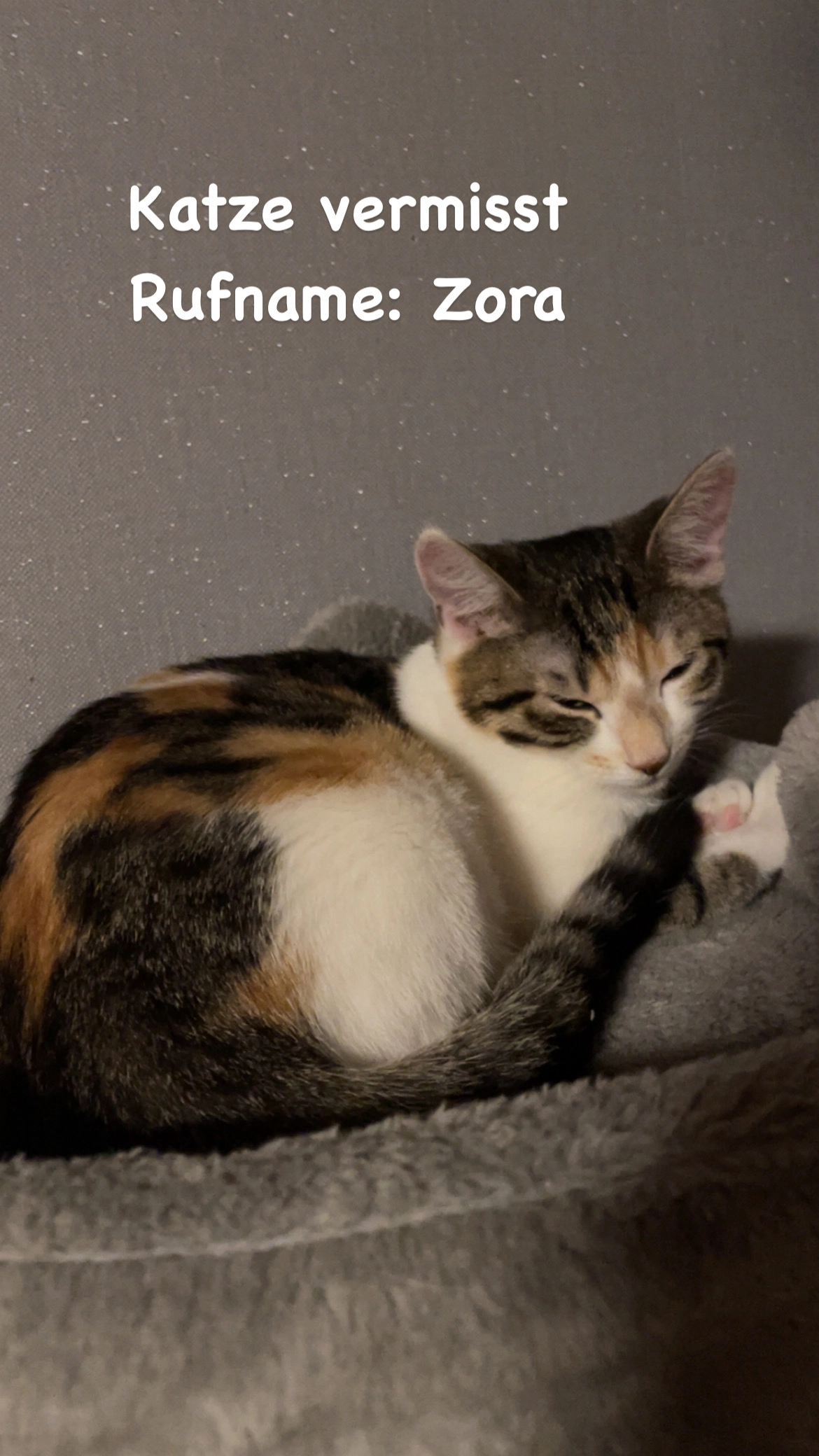 Zora - Rainstraße, Kirchheim