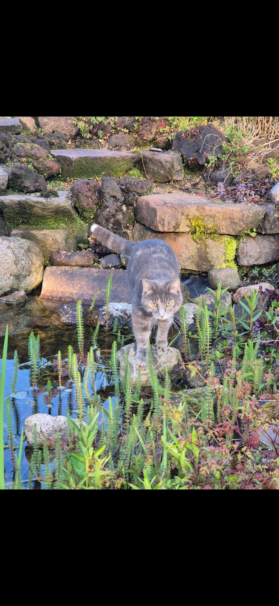 Wilma - Am Großen Feld, Stuhr