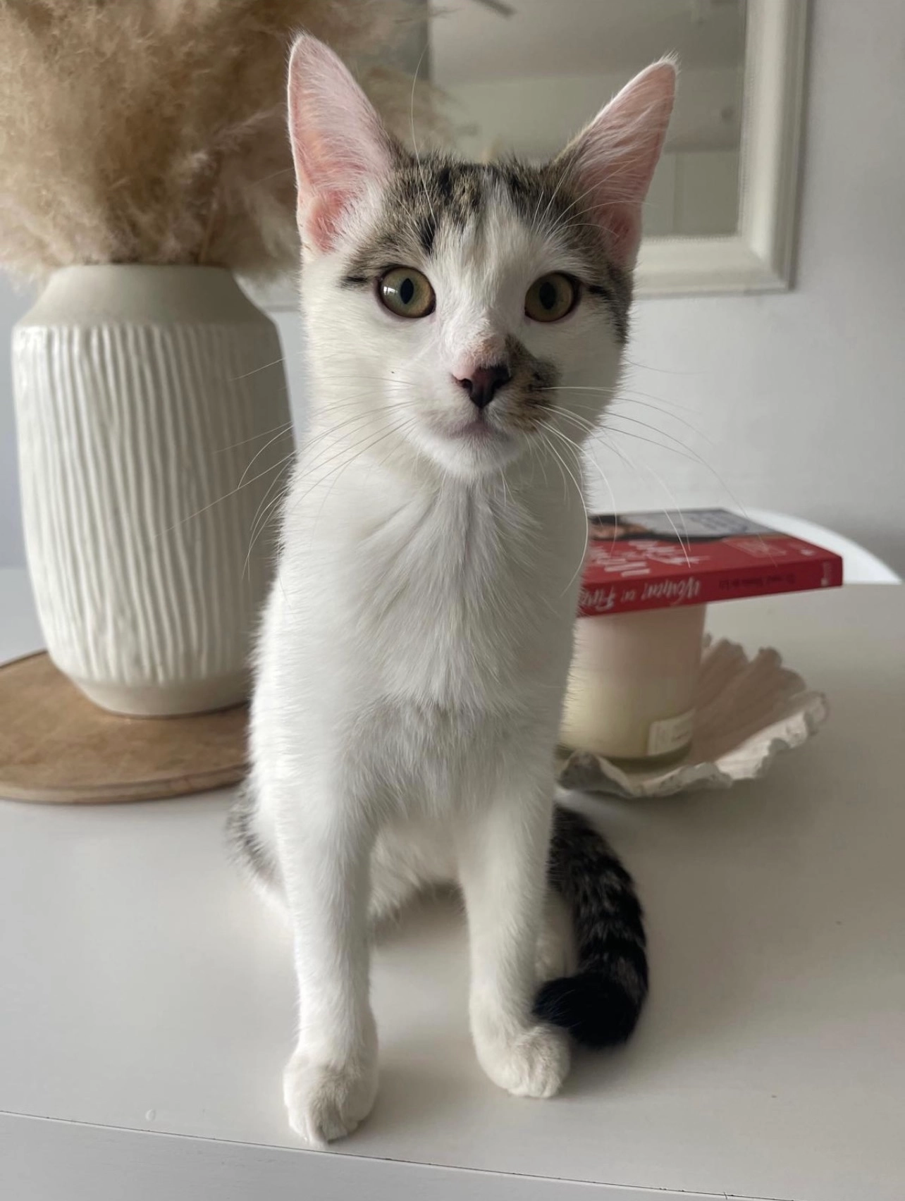 Gio  - Angela-Fraundorfer-Straße, Aiterhofen