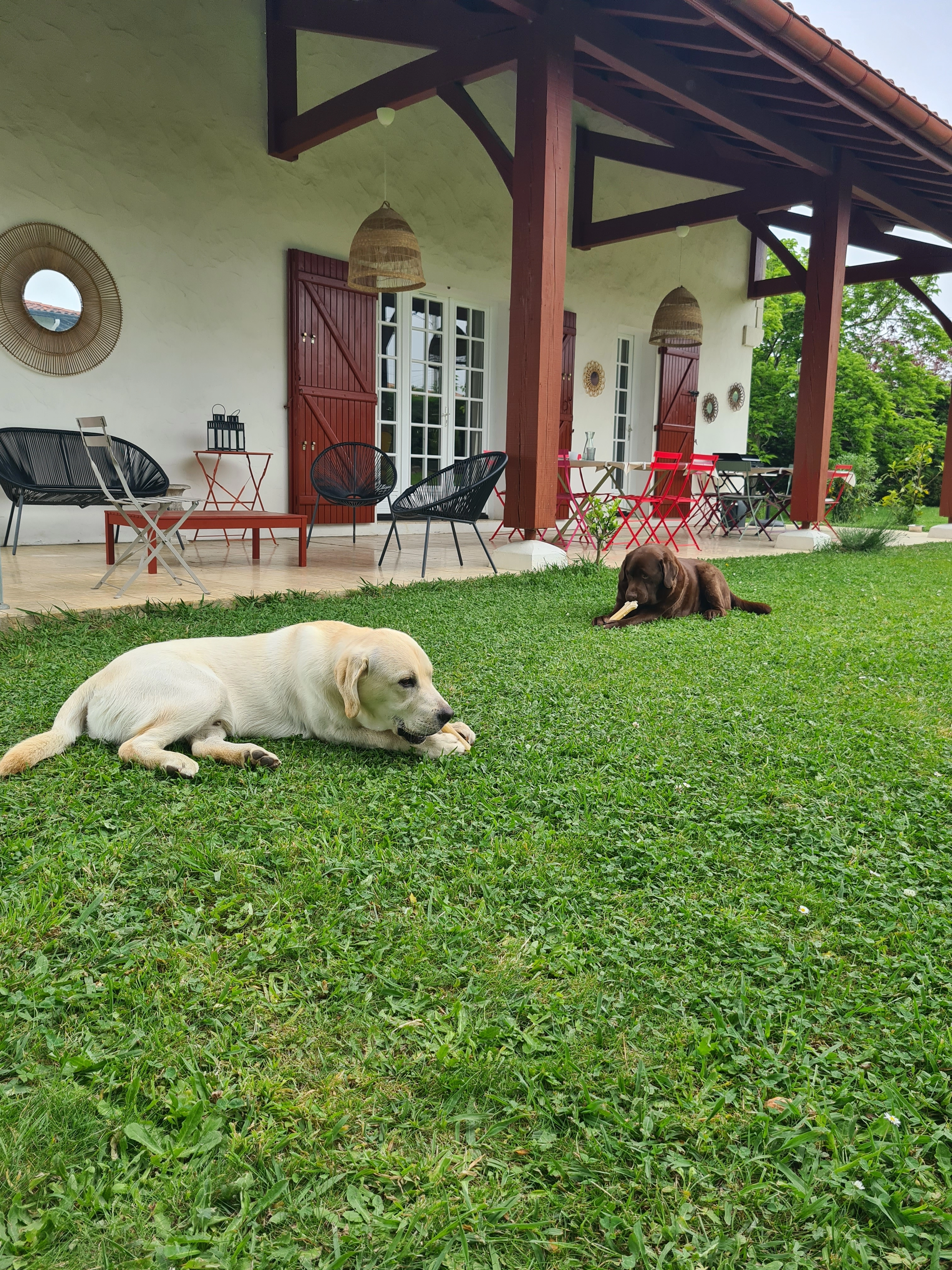 Vasco - Route de Saint-Pée, Arbonne