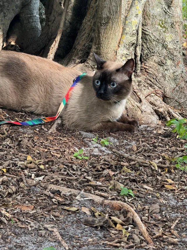 Milo - Southwest 20th Street, Fort Lauderdale