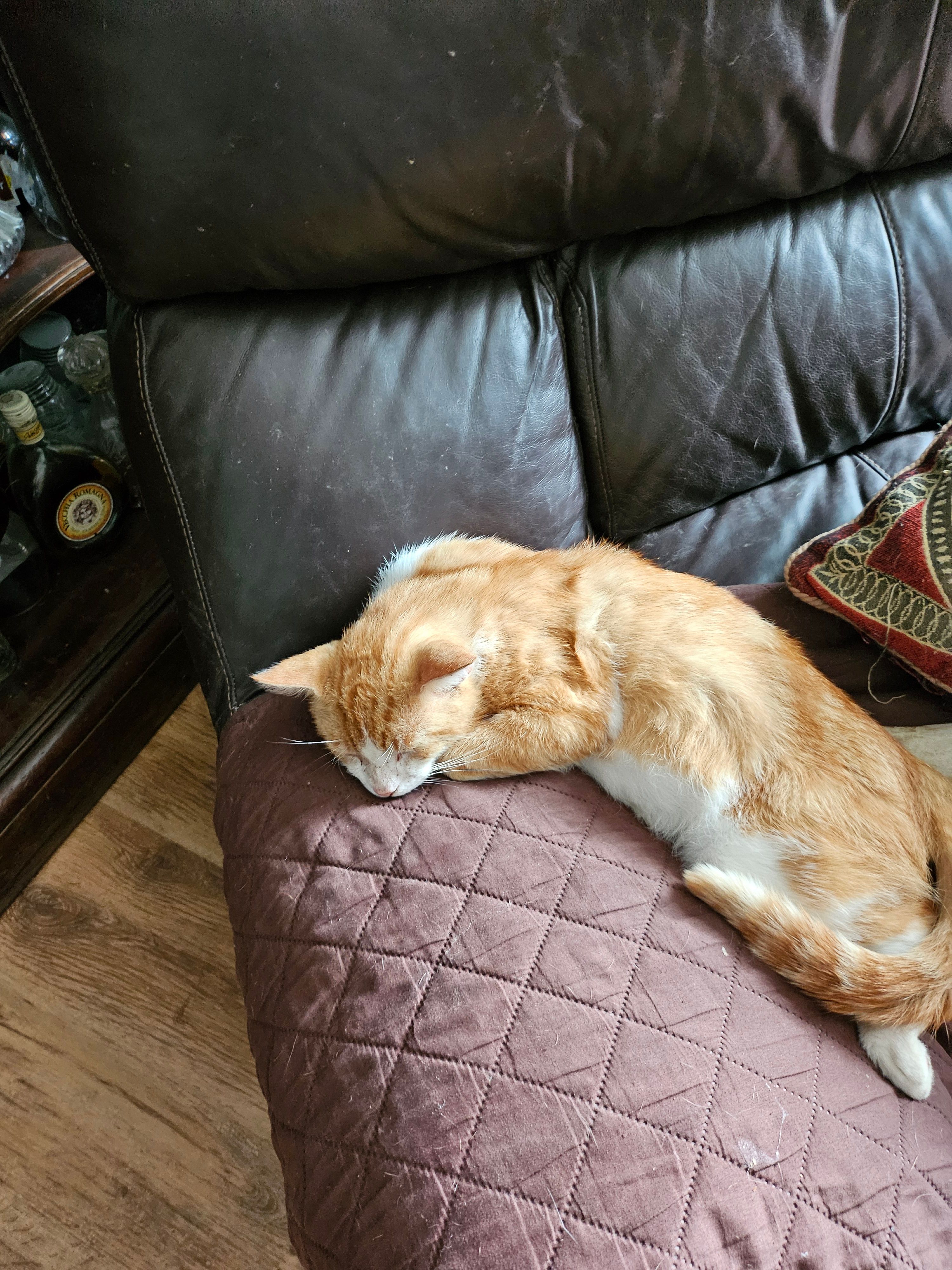 Tobz - Manafon Road, Berriew