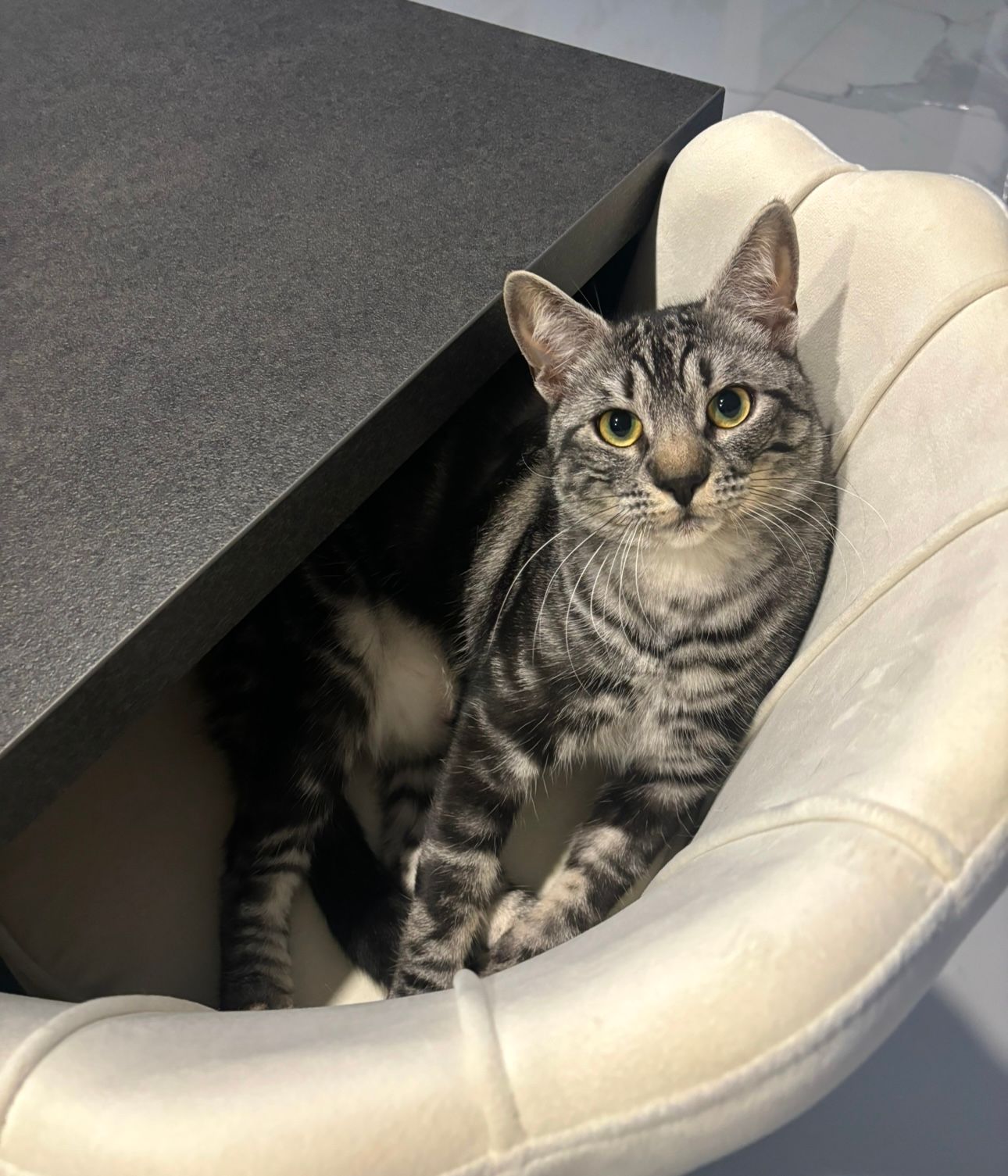 Wicket - Rue Saint-Vincent, Massingy