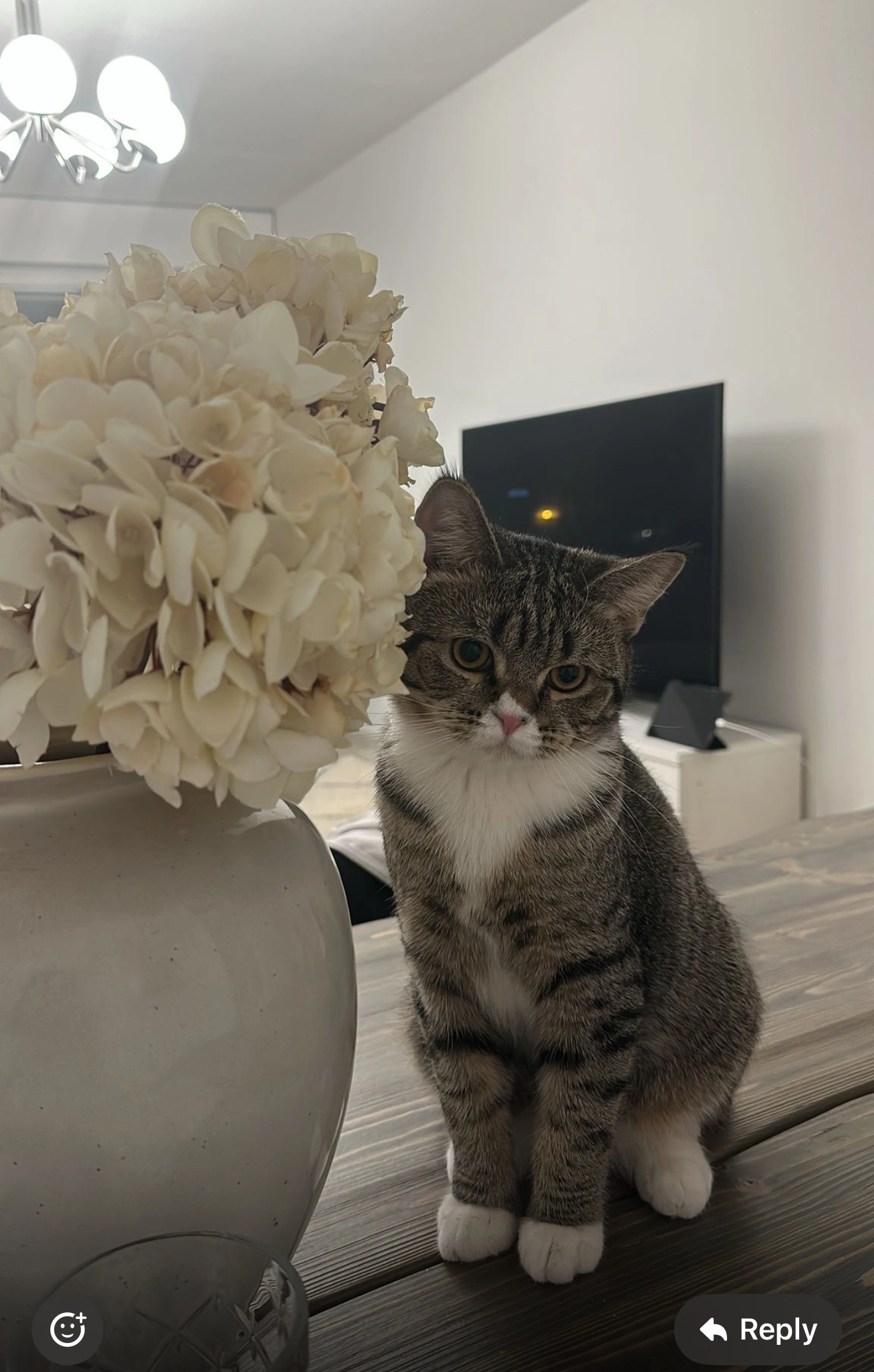 minouch - Neitsytsaarentie 3, Helsinki