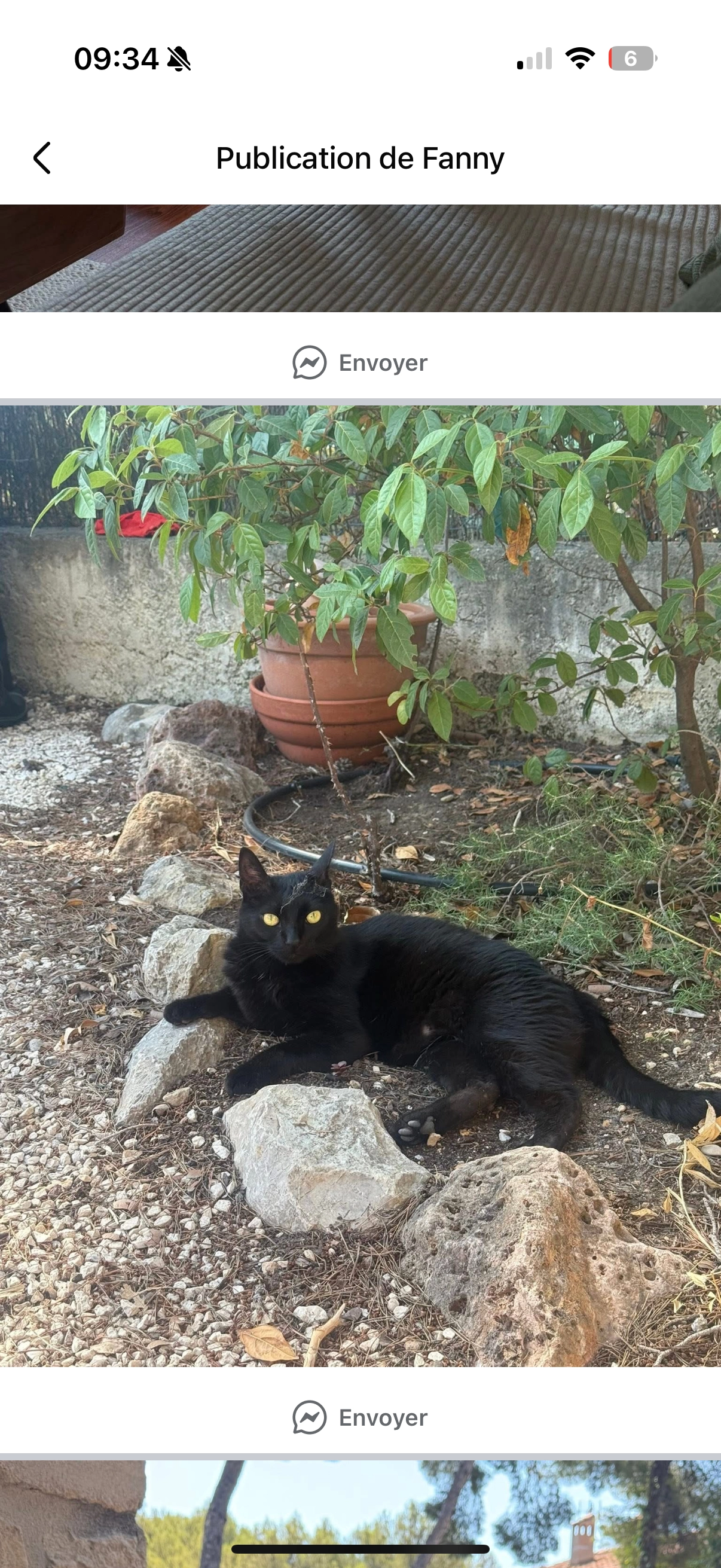 June - Impasse des Genêts, Bandol
