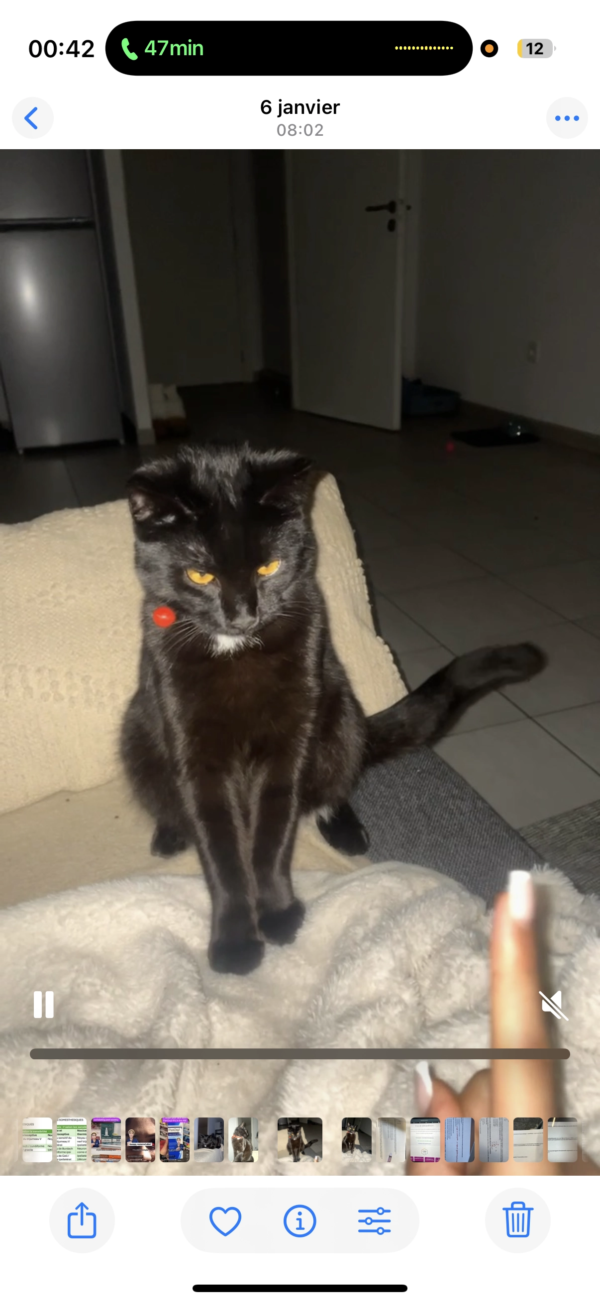 Minousa - Rue De La Gare, Lauterbourg