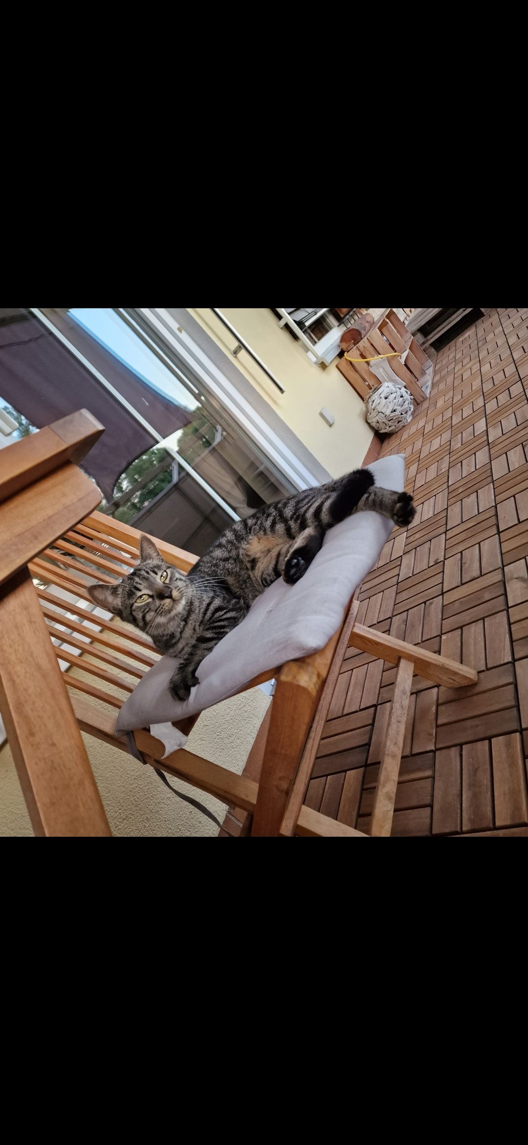 Tommy - Kemnather Straße, Immenreuth